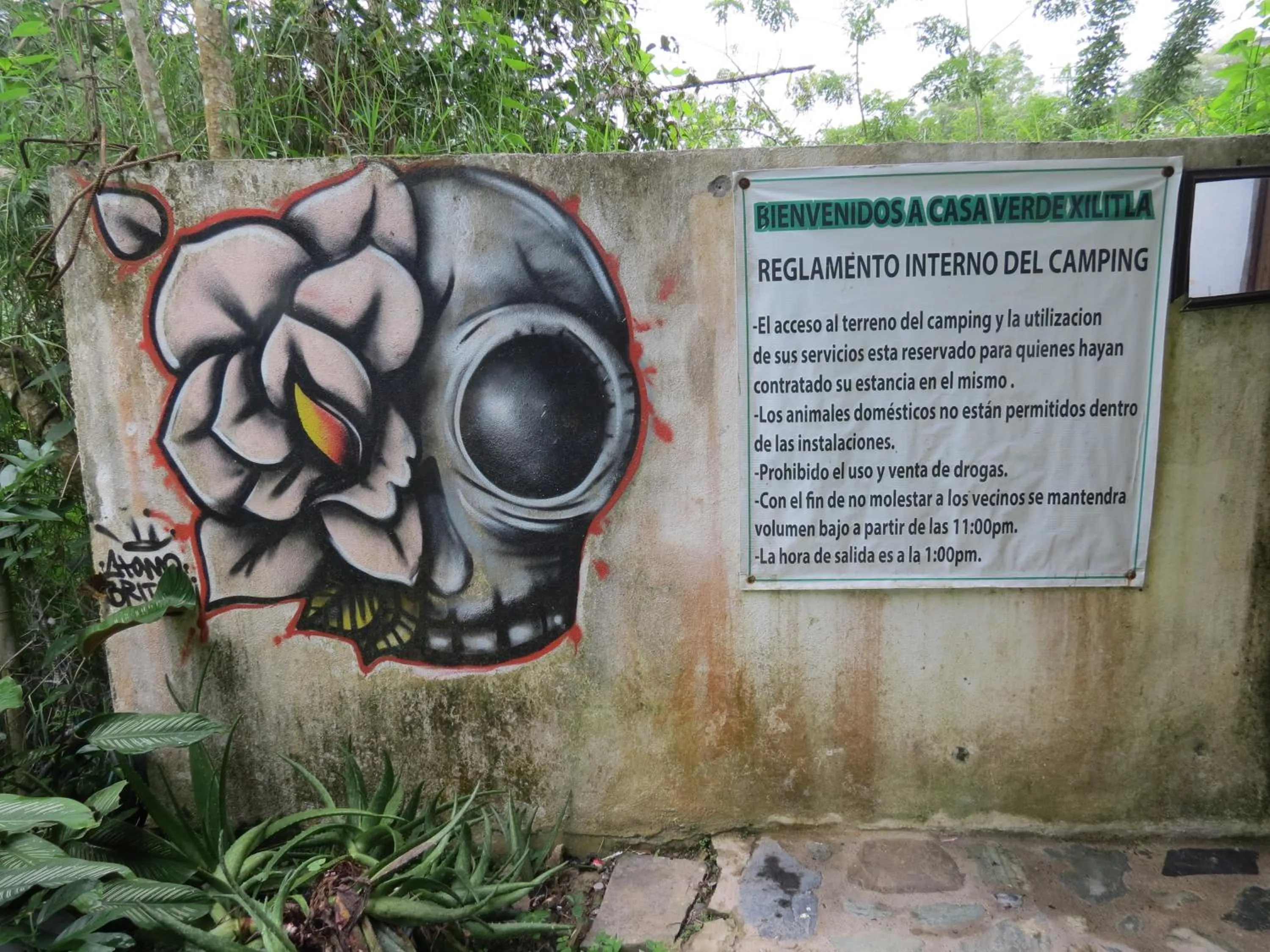 Decorative detail in Casa Verde Xilitla By Rotamundos