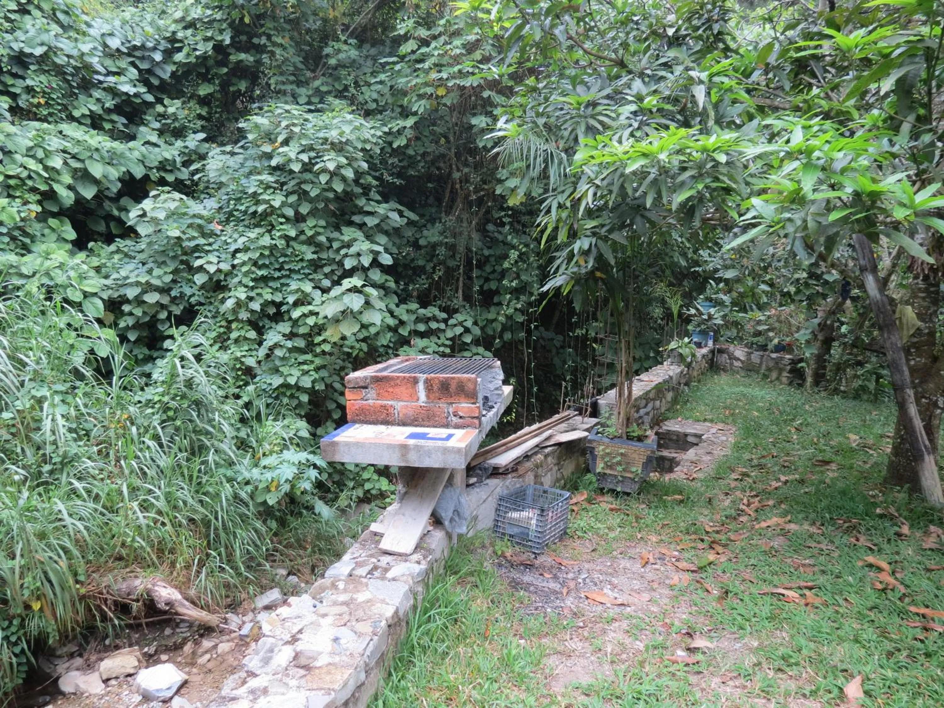 Garden in Casa Verde Xilitla By Rotamundos