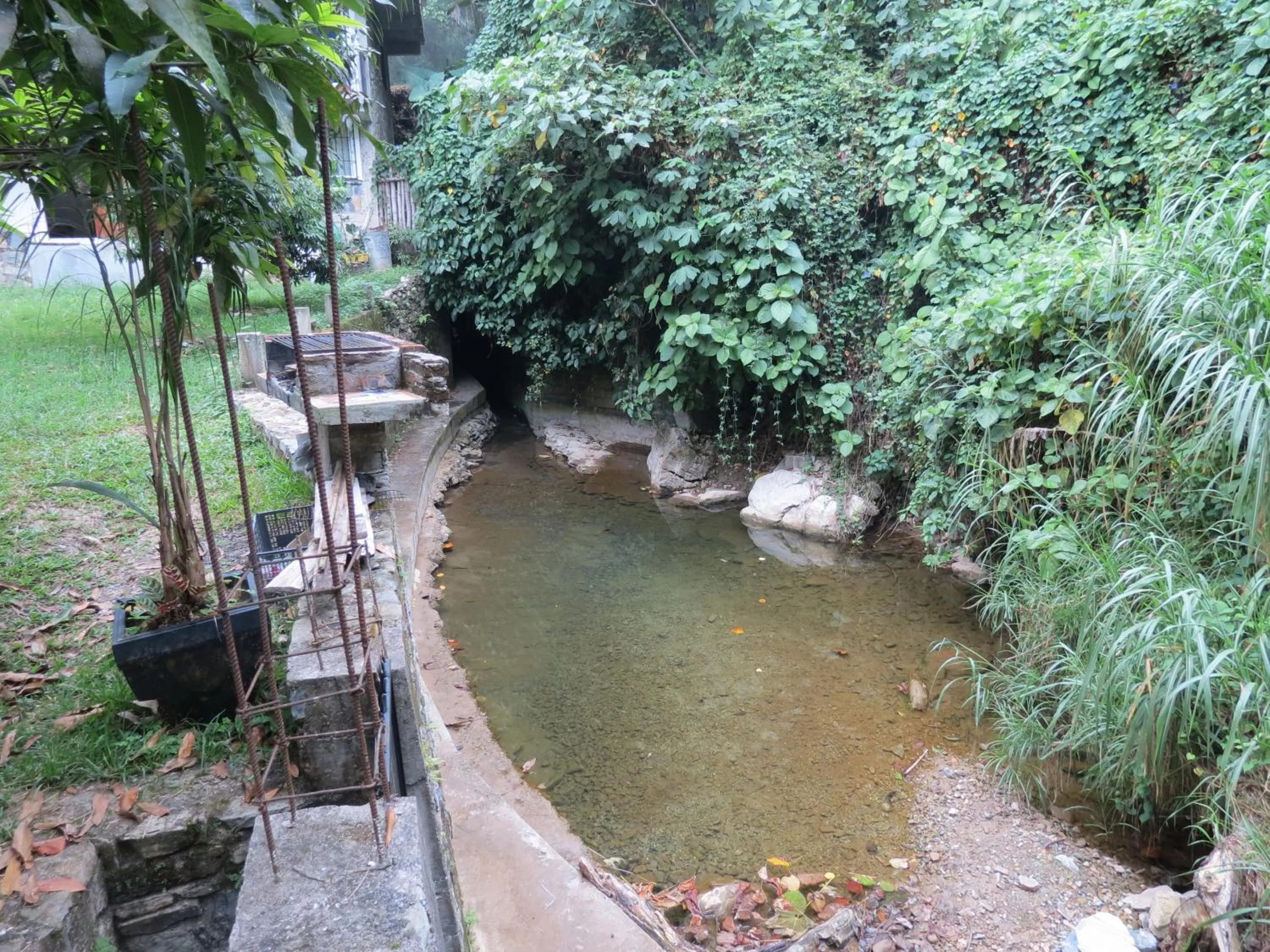 Natural landscape in Casa Verde Xilitla By Rotamundos
