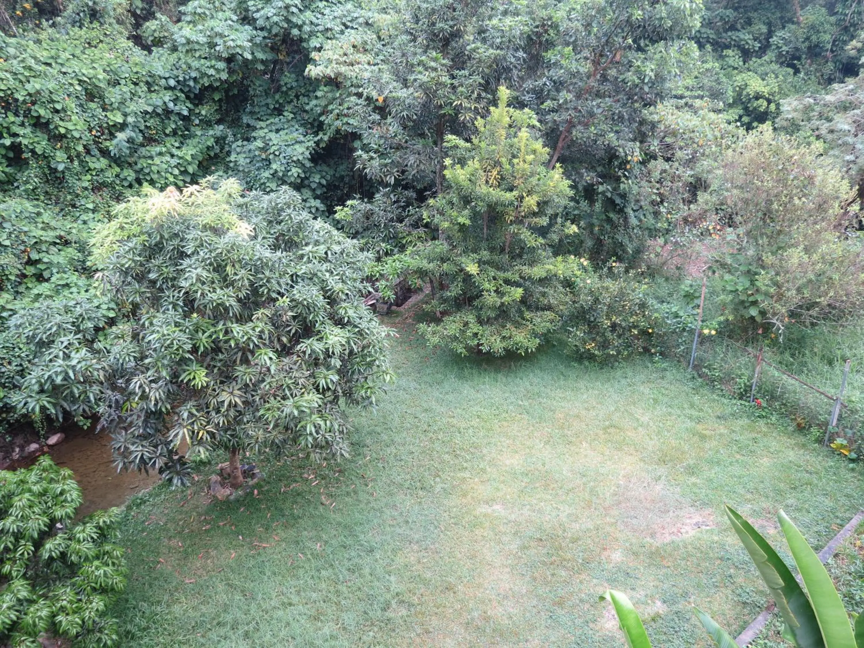 Natural landscape in Casa Verde Xilitla By Rotamundos