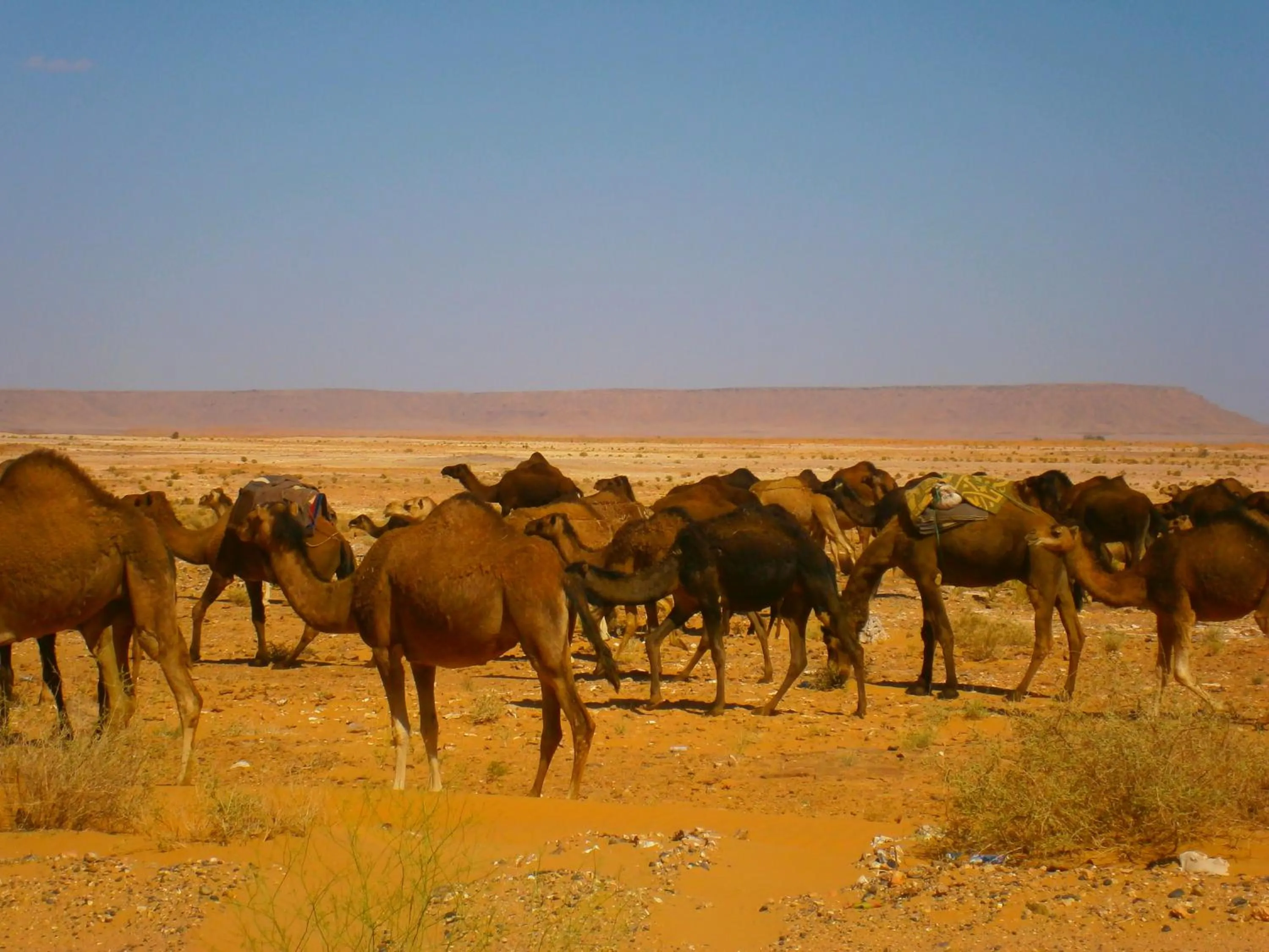 Activities in Gite Tamlli