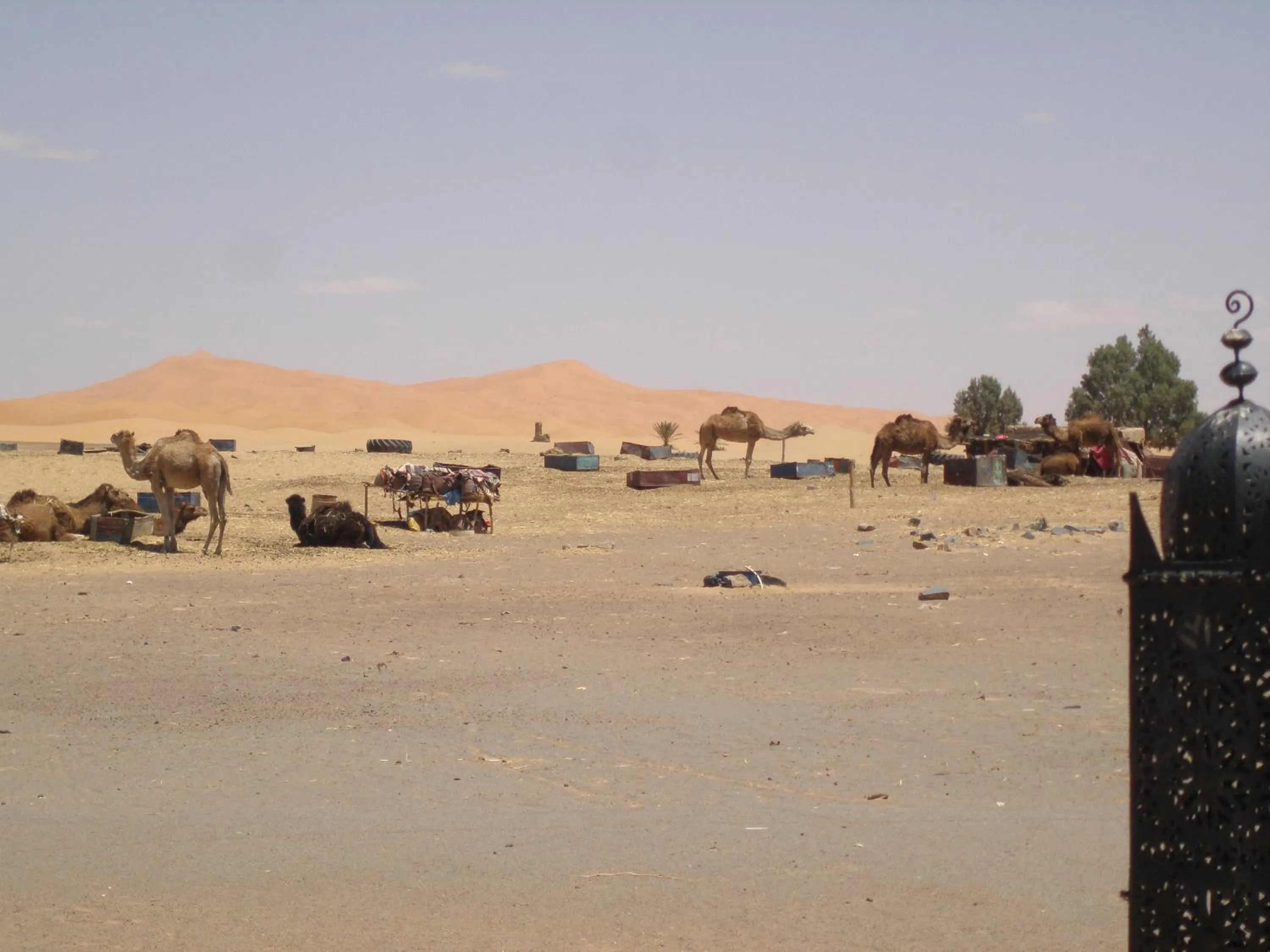 Horse-riding in Gite Tamlli