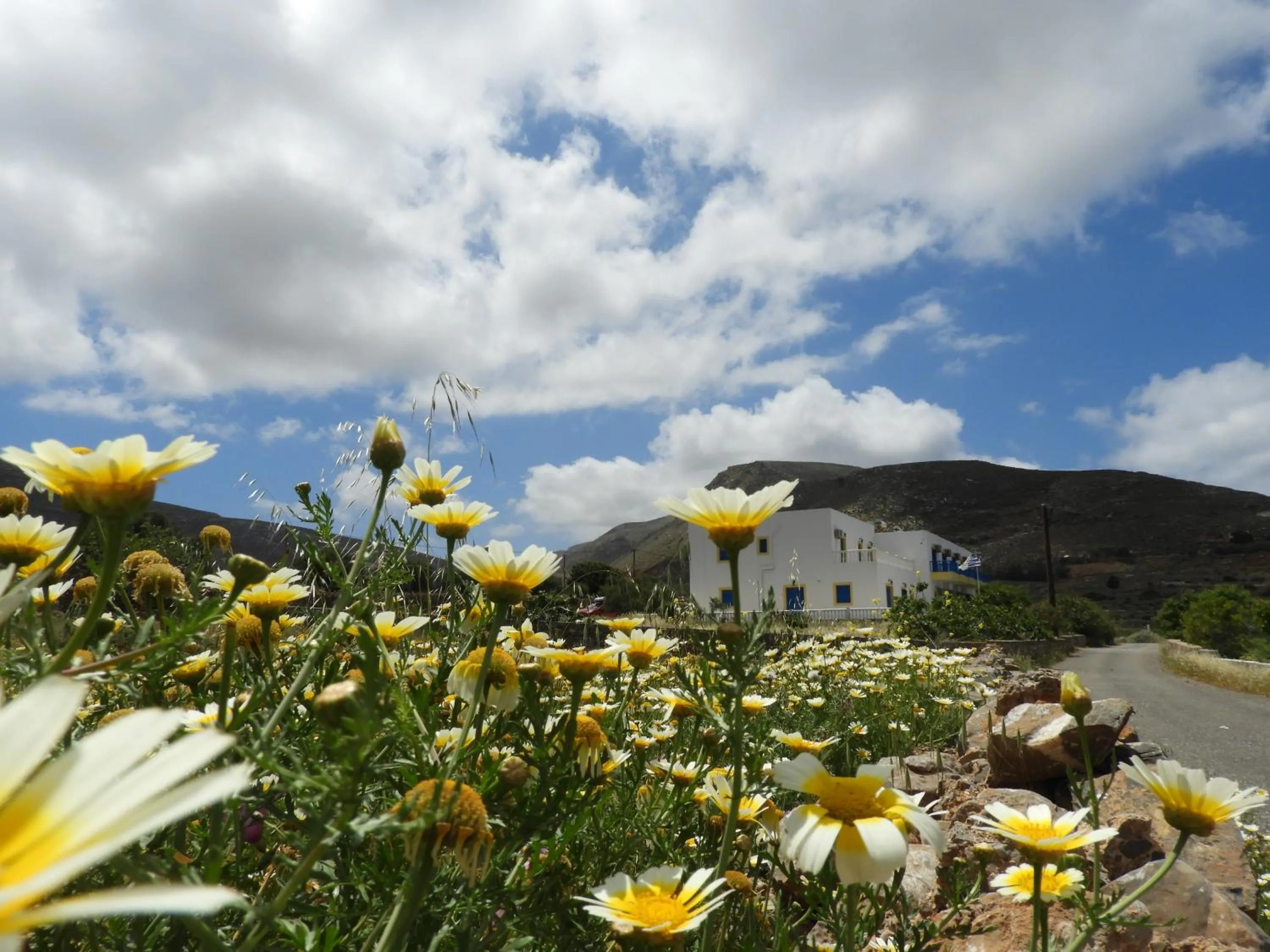 Aerikohotel - Apartments