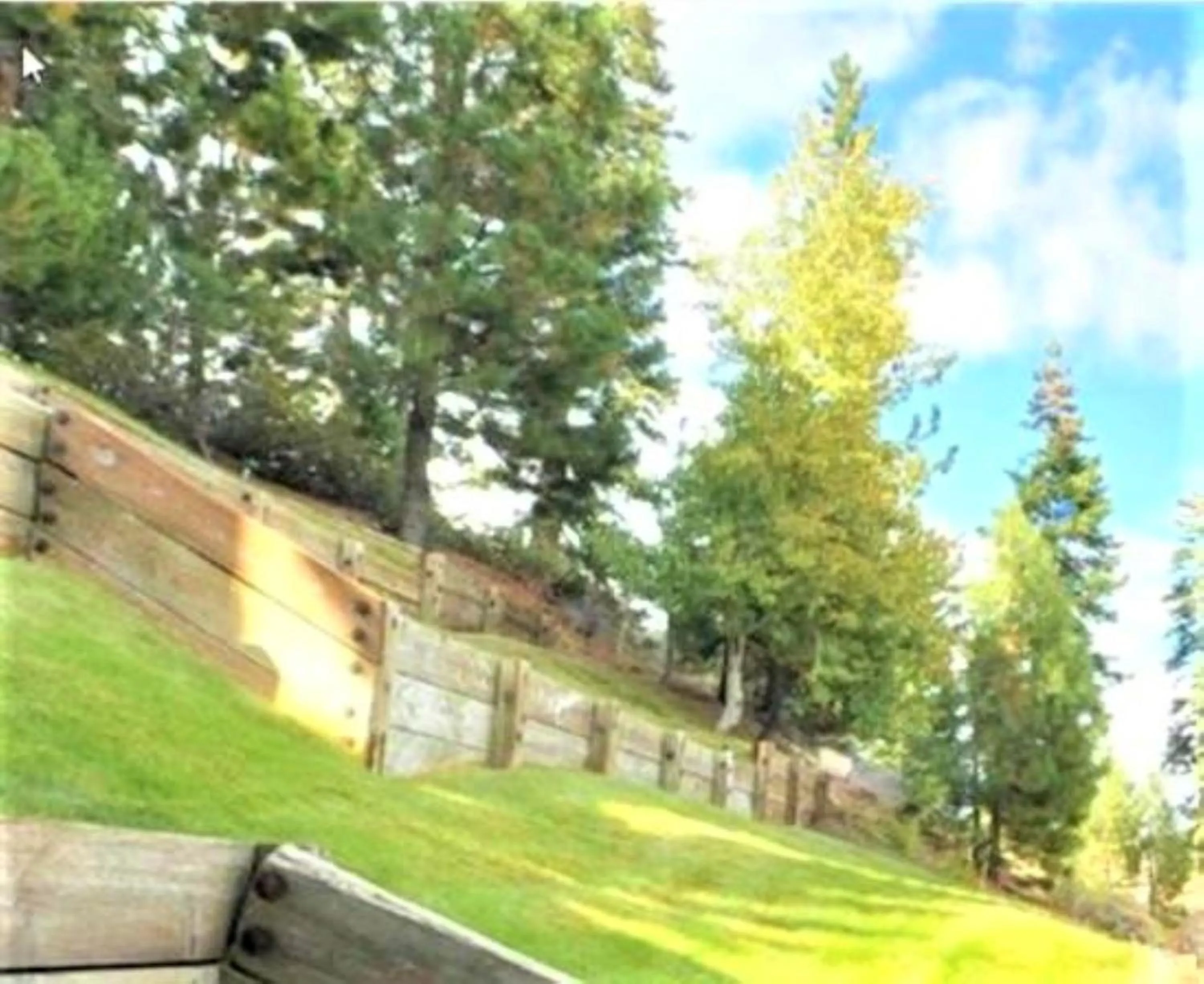 Garden in Tahoe Summit Village