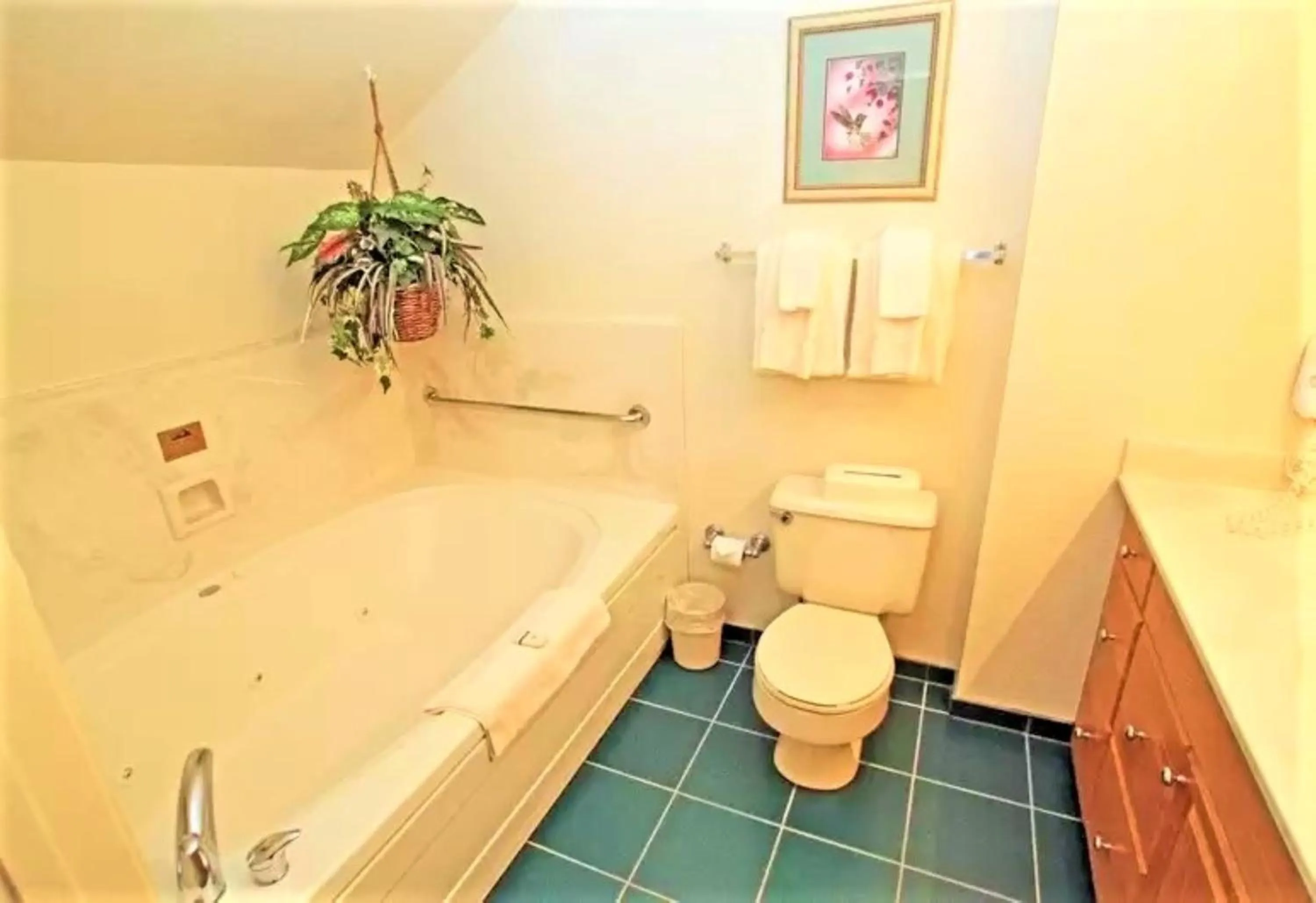 Bathroom in Tahoe Summit Village