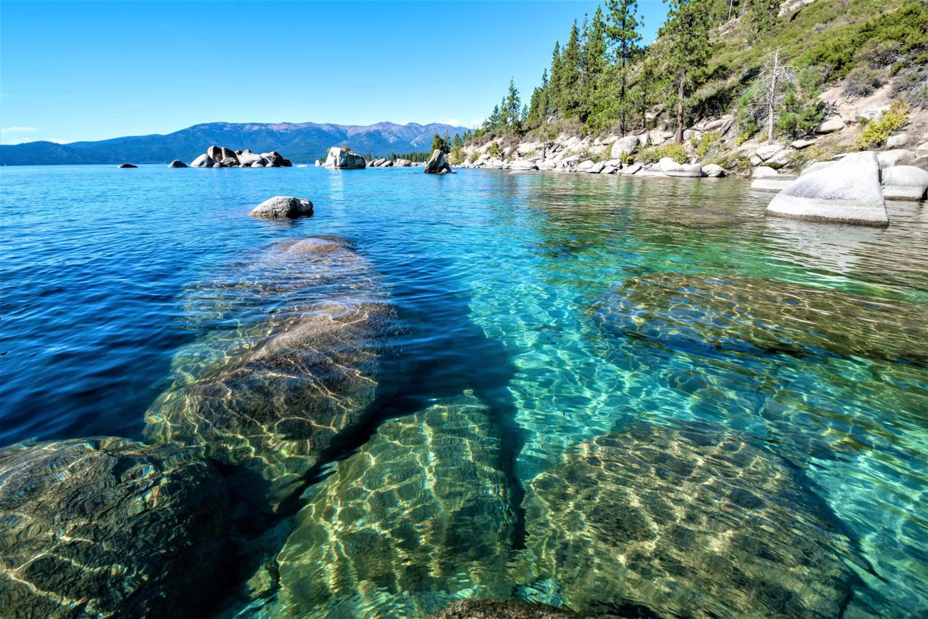 Natural landscape in Tahoe Summit Village