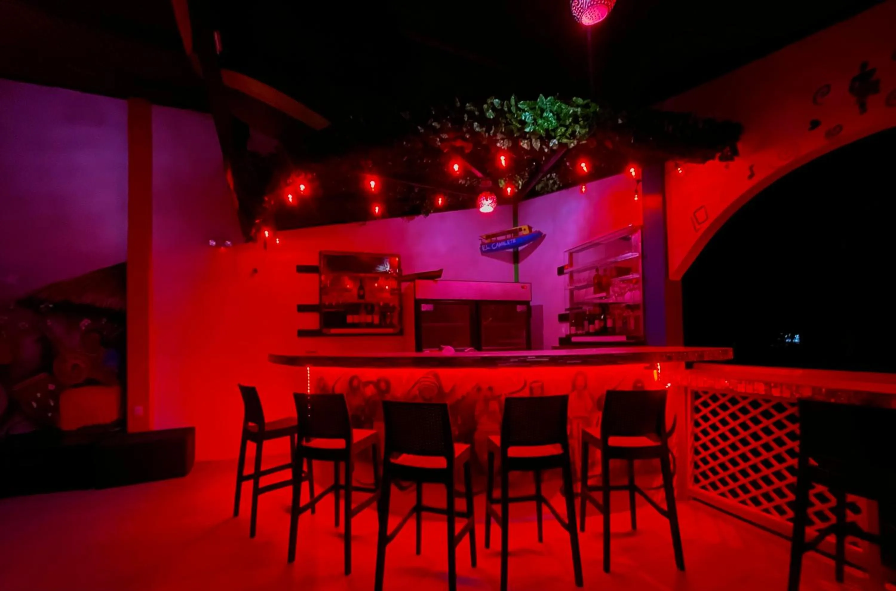 Nightclub / DJ in Hotel El Icaco Tortuguero