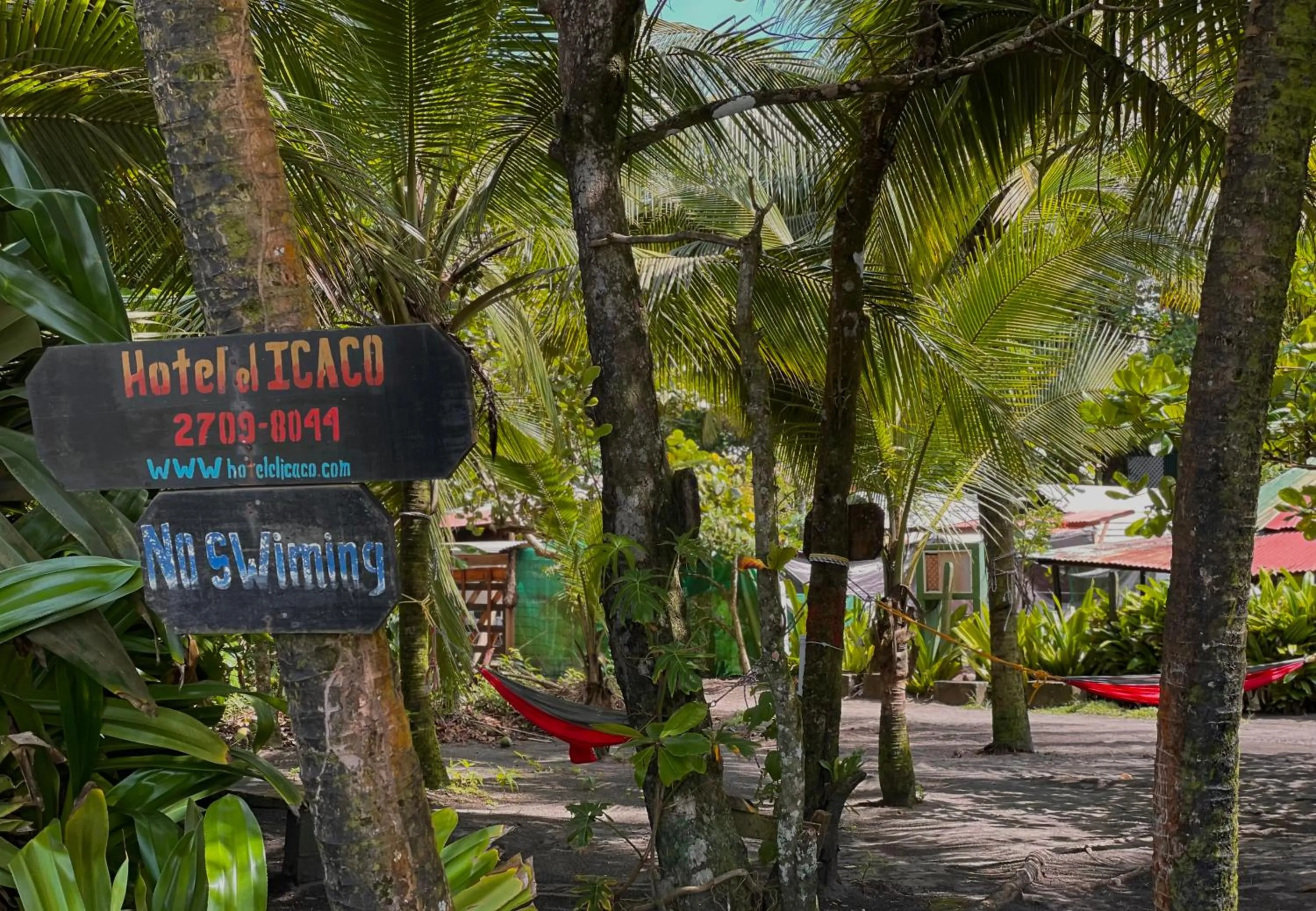 Beach in Hotel El Icaco Tortuguero