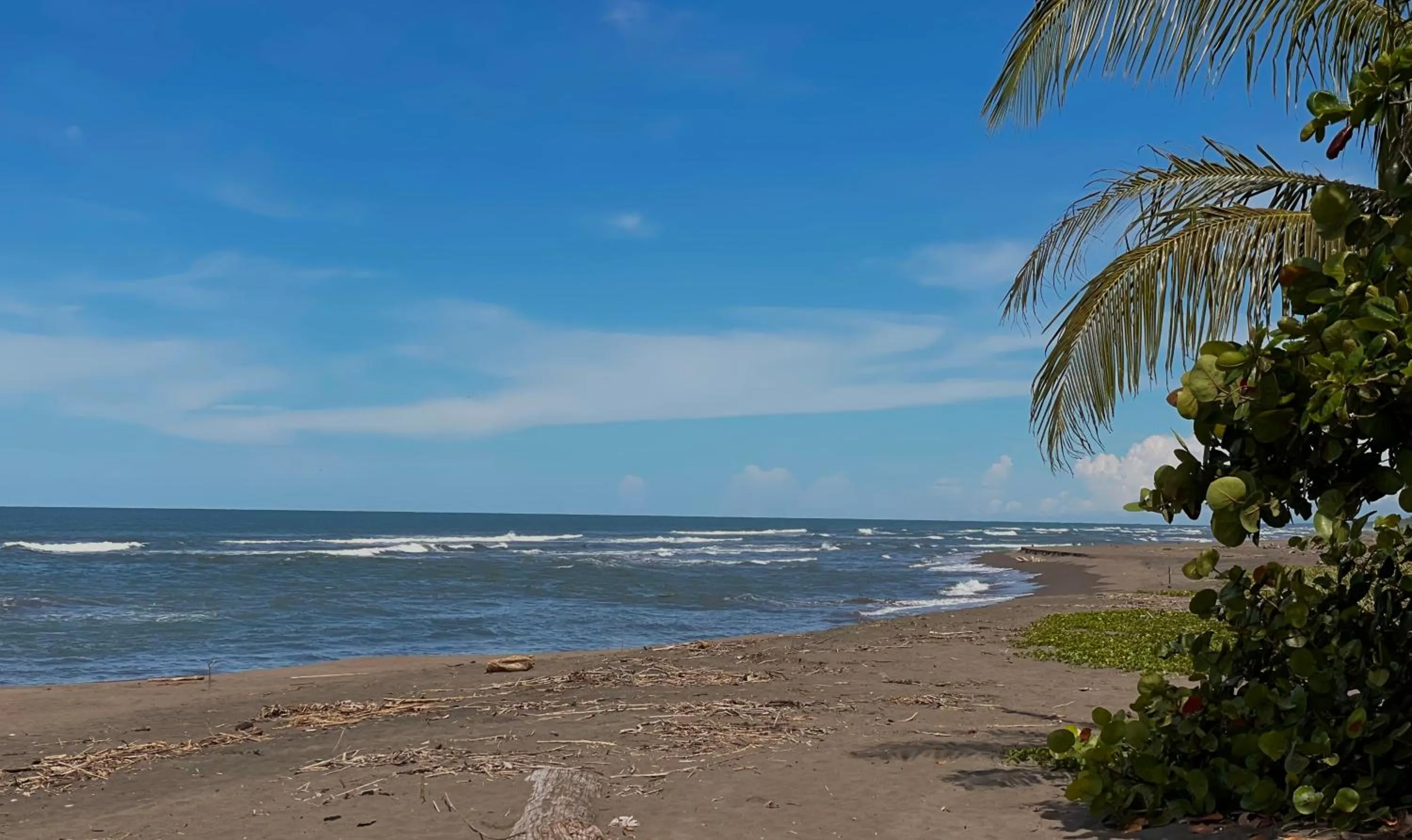 Beach in Hotel El Icaco Tortuguero