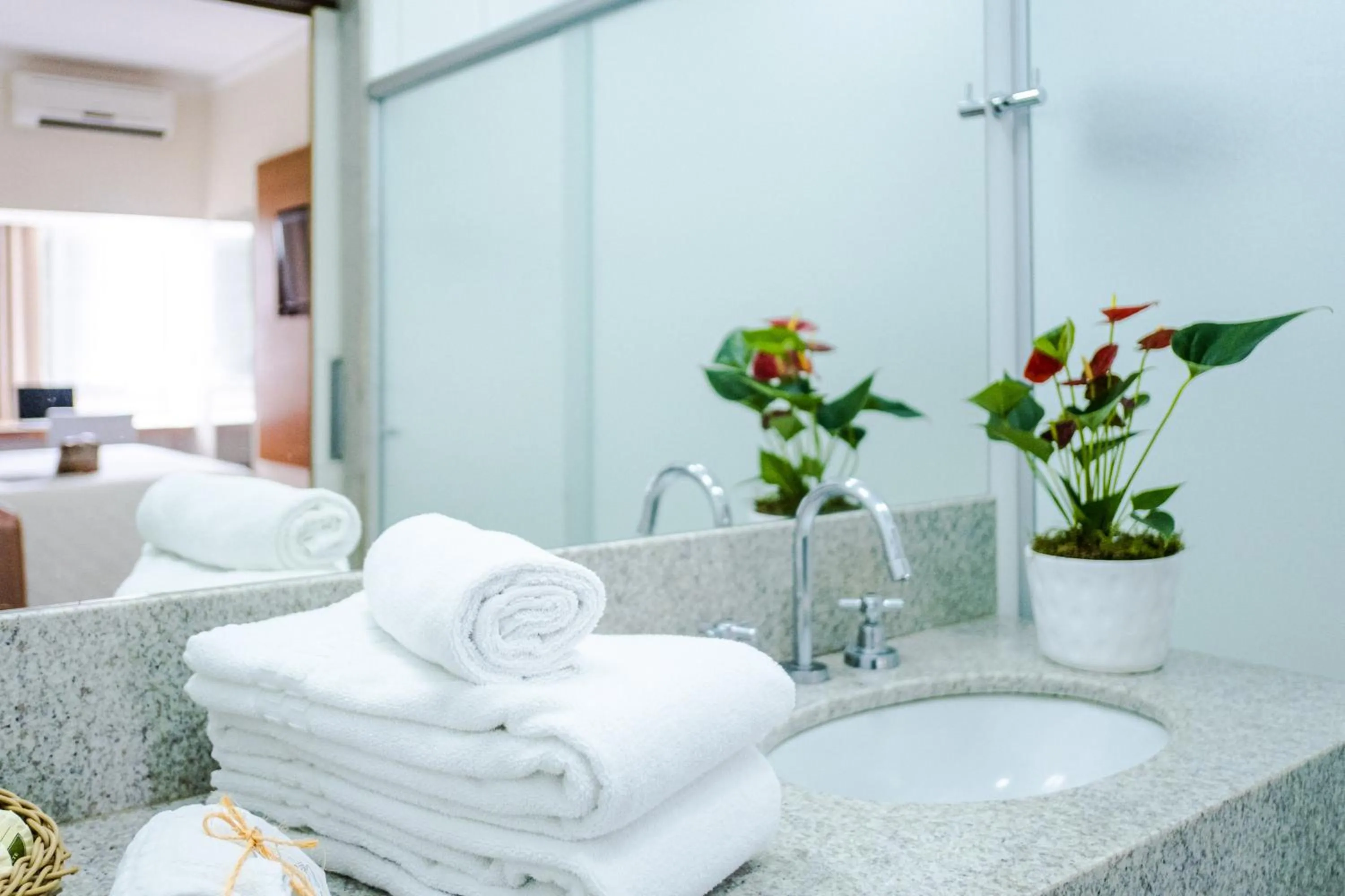 Vitoria Regia Hotel Bauru