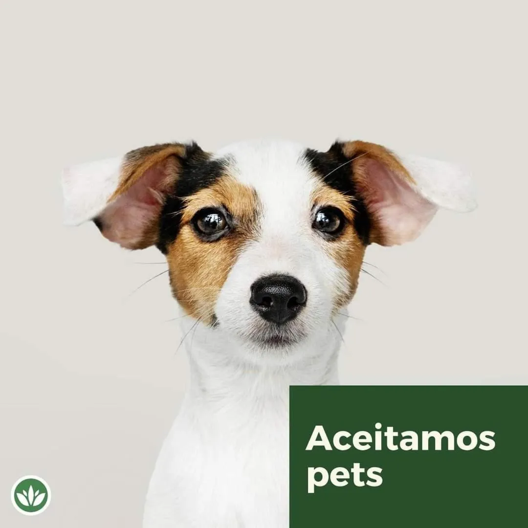 Pets in Vitoria Regia Hotel Bauru
