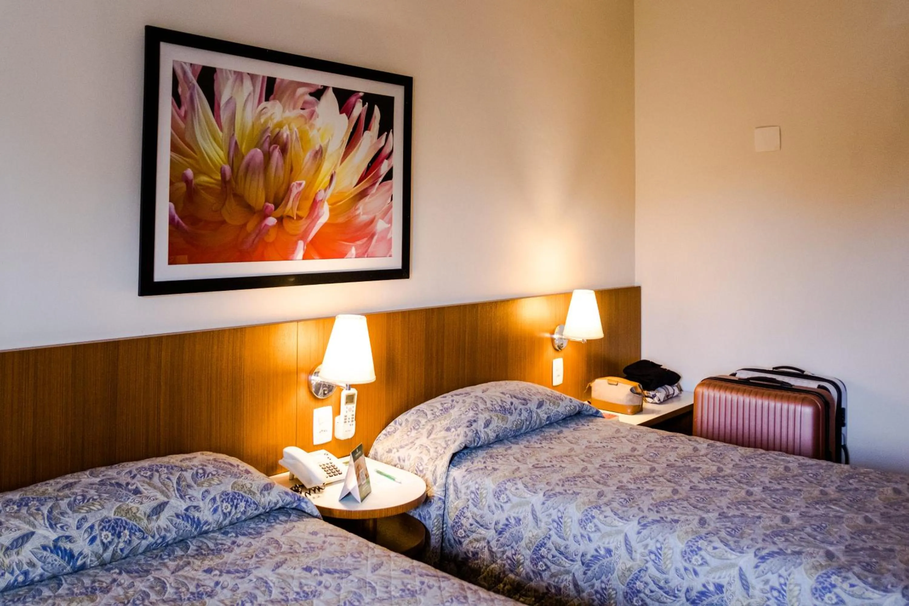 Bed in Vitoria Regia Hotel Bauru