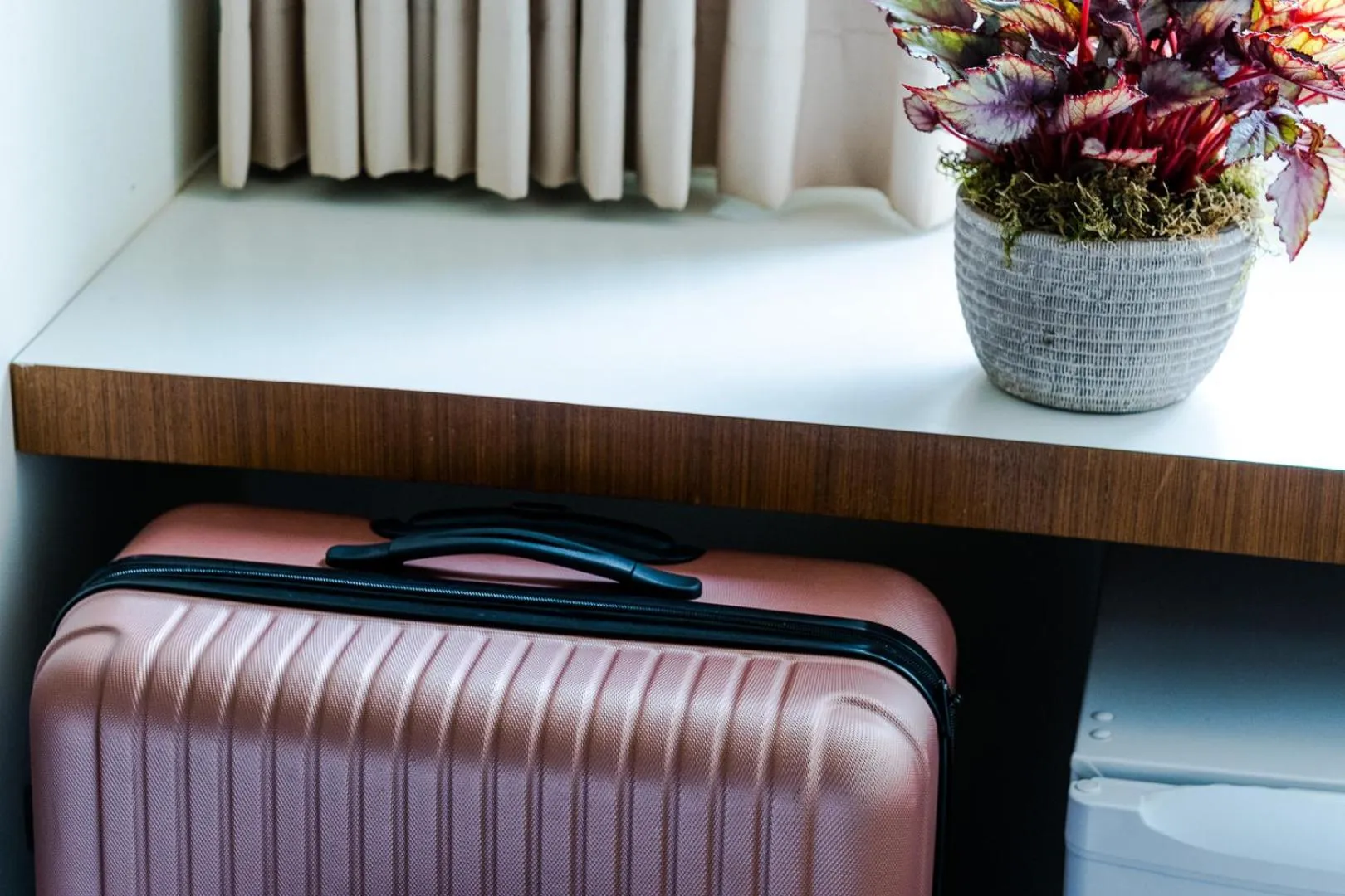 Vitoria Regia Hotel Bauru