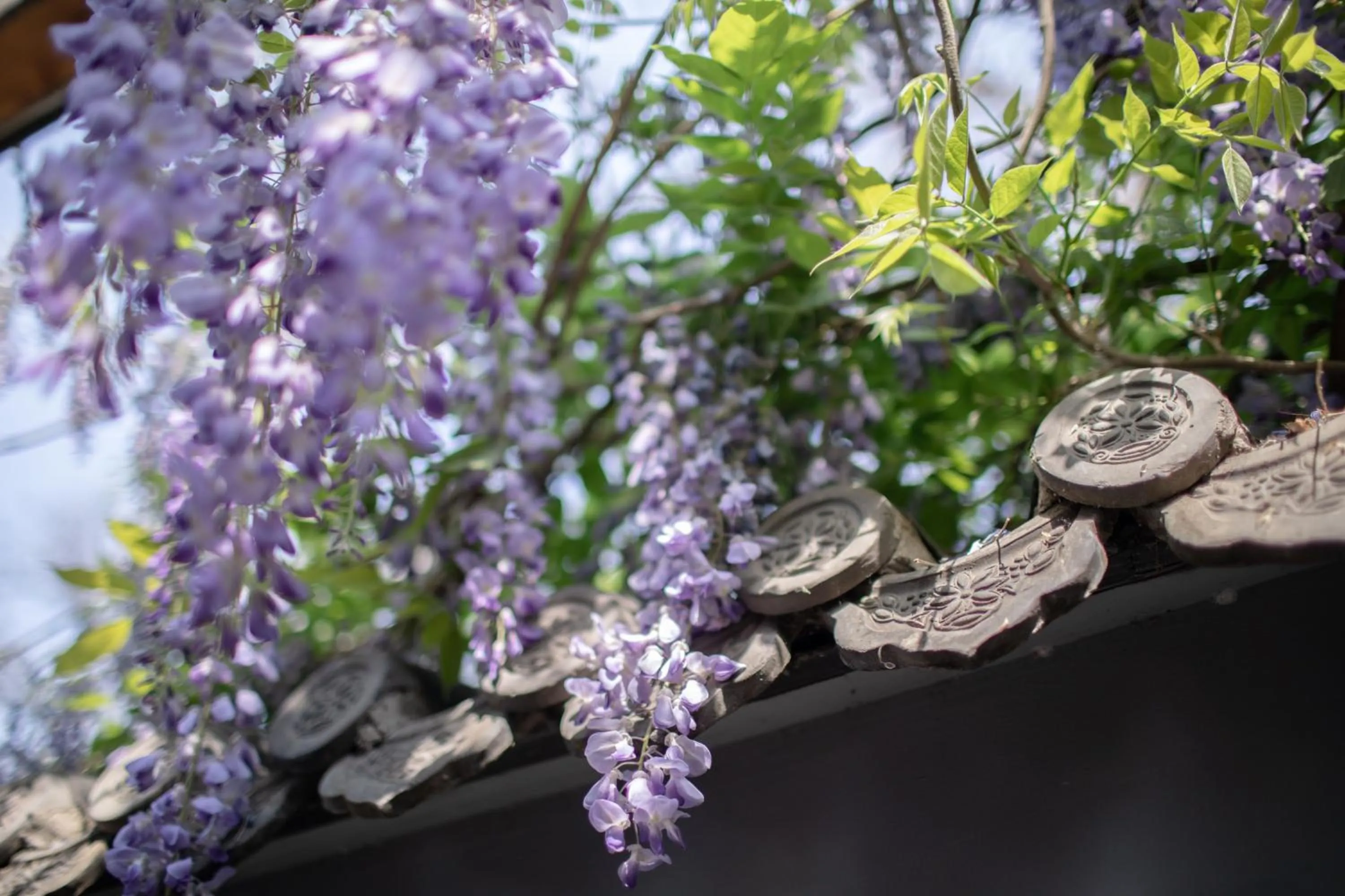 Garden in Guipu Beihai Courtyard Hotel Beijing