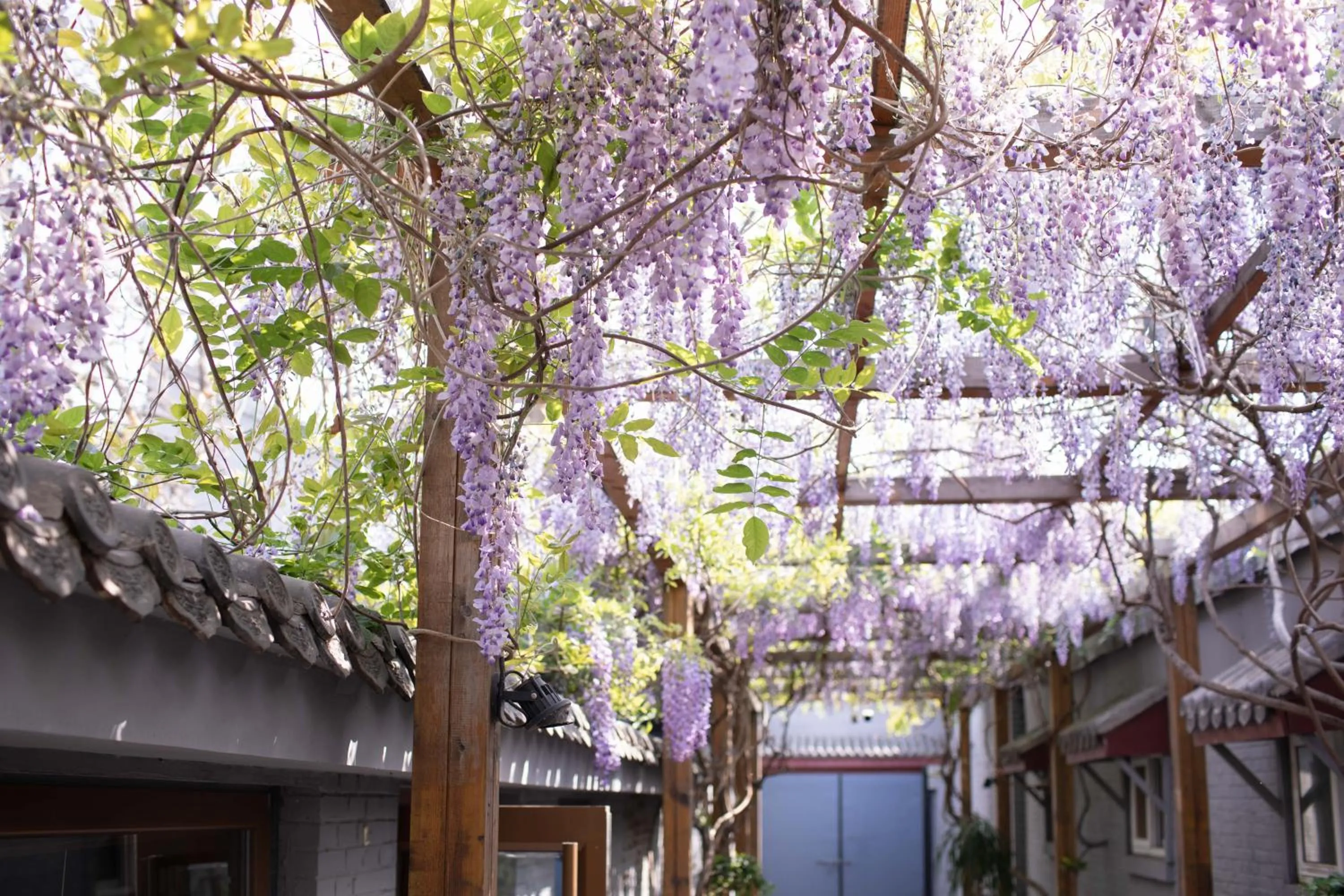 Property building in Guipu Beihai Courtyard Hotel Beijing