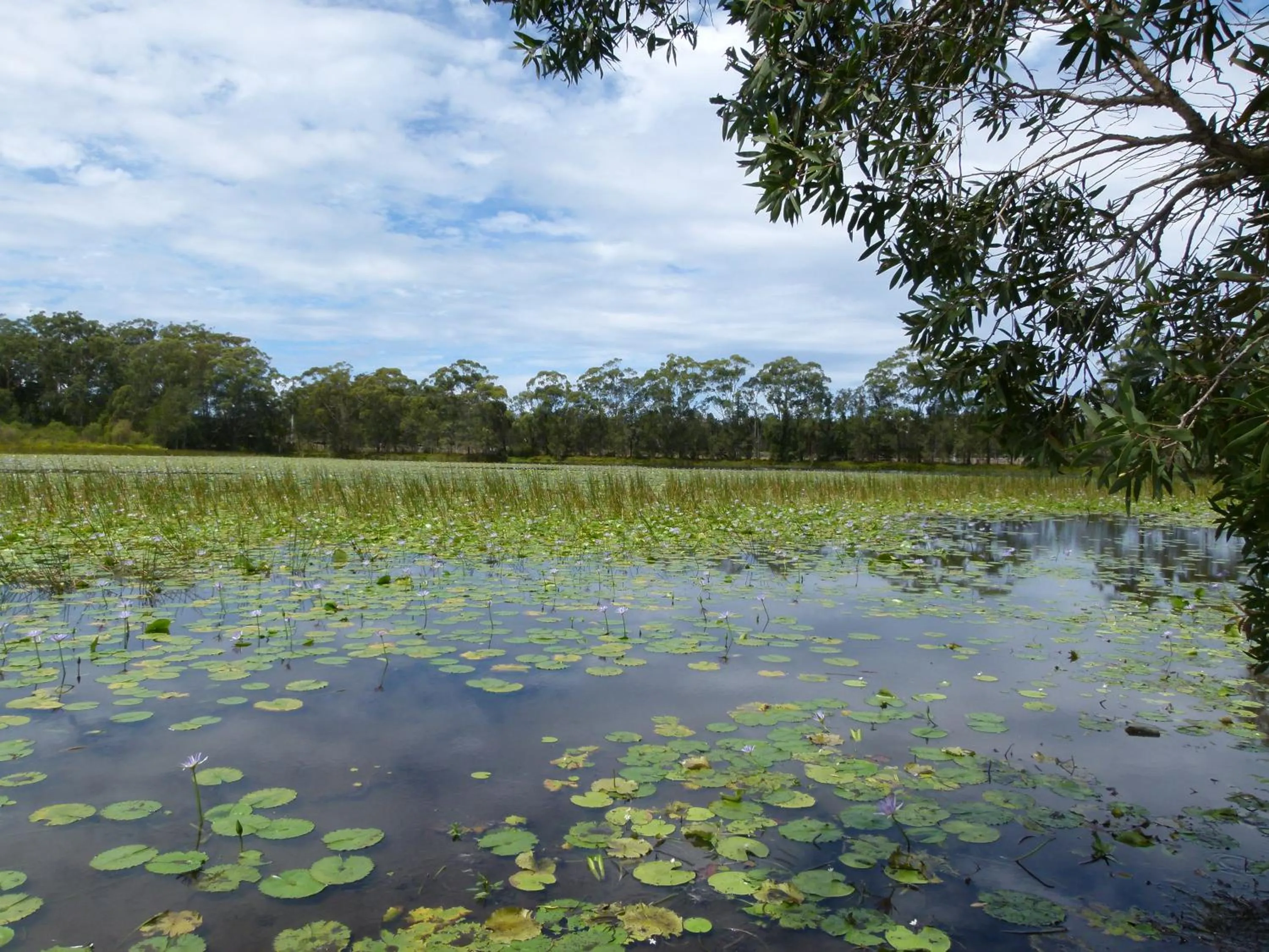 Lake Russell Lakeside Retreat