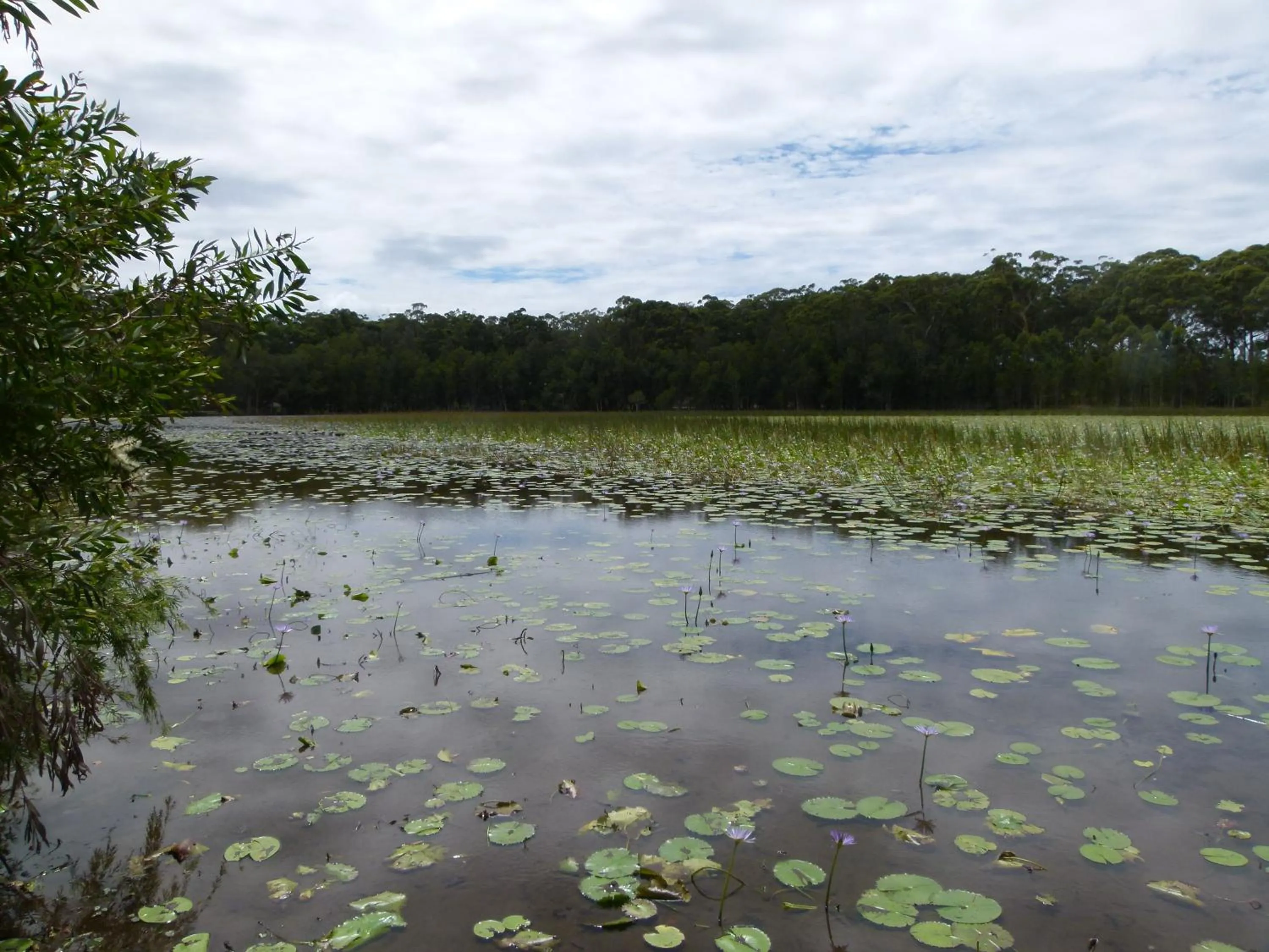 Lake Russell Lakeside Retreat