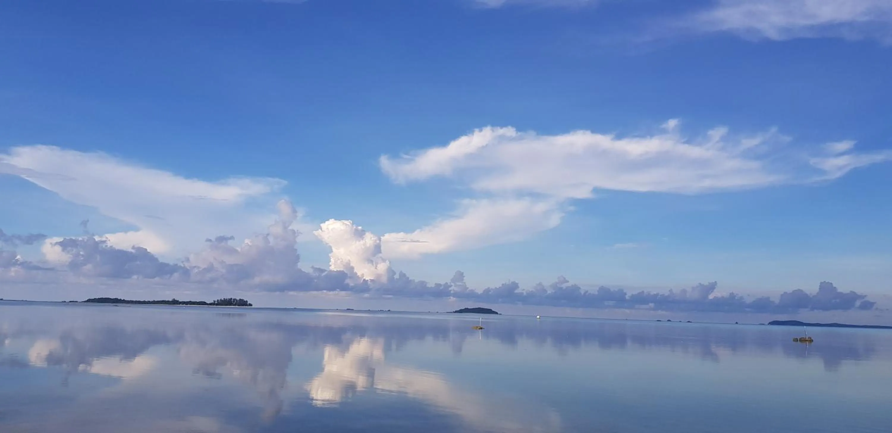 Natural landscape in Ten RooMs