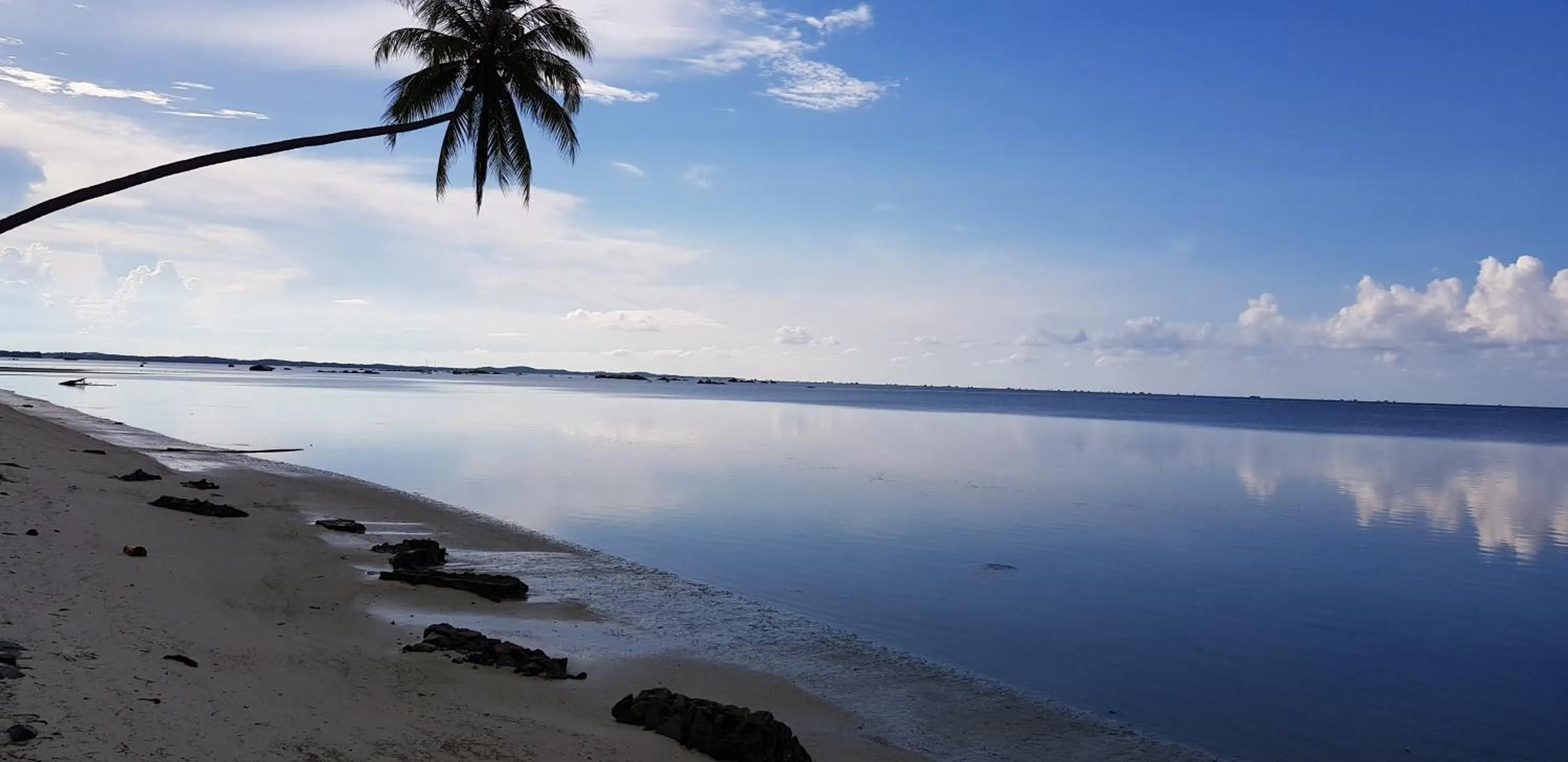 Natural landscape in Ten RooMs