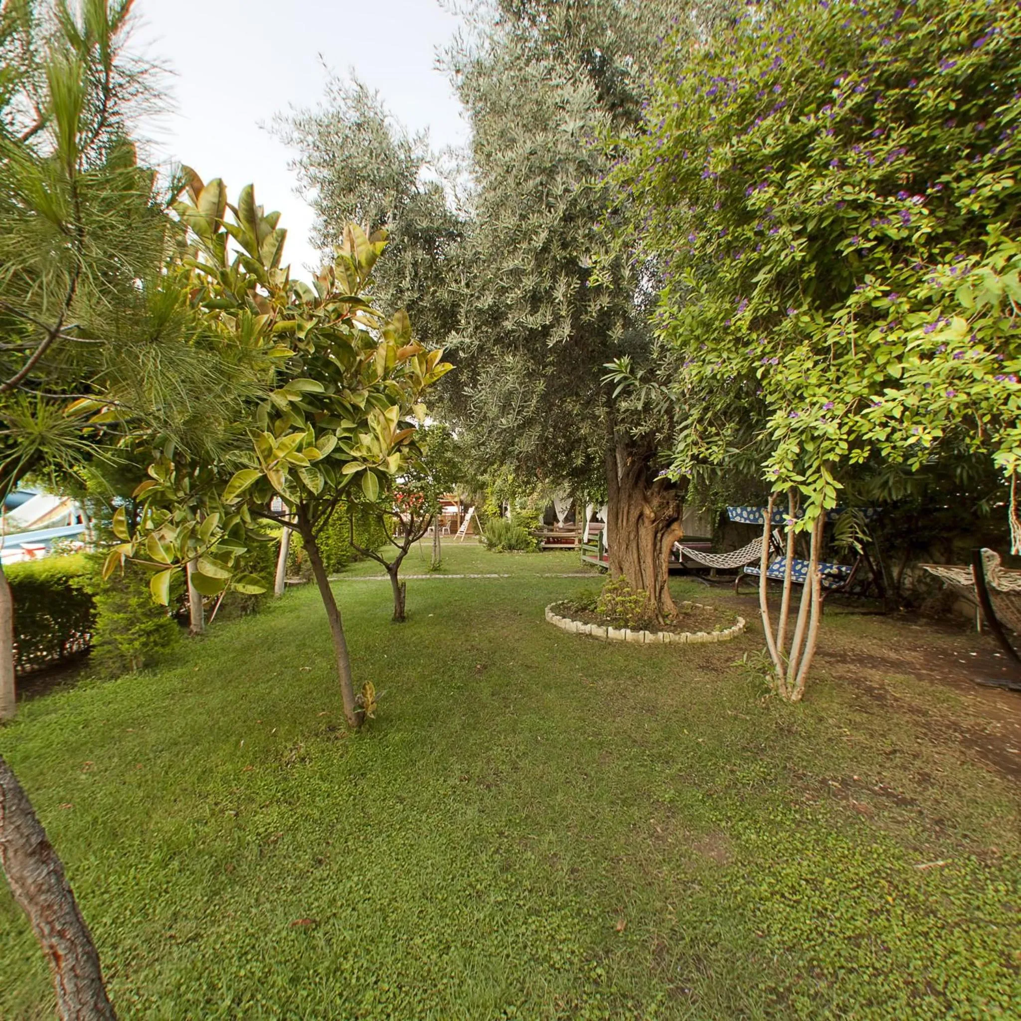 Natural landscape in Lims Bona Dea Beach Hotel