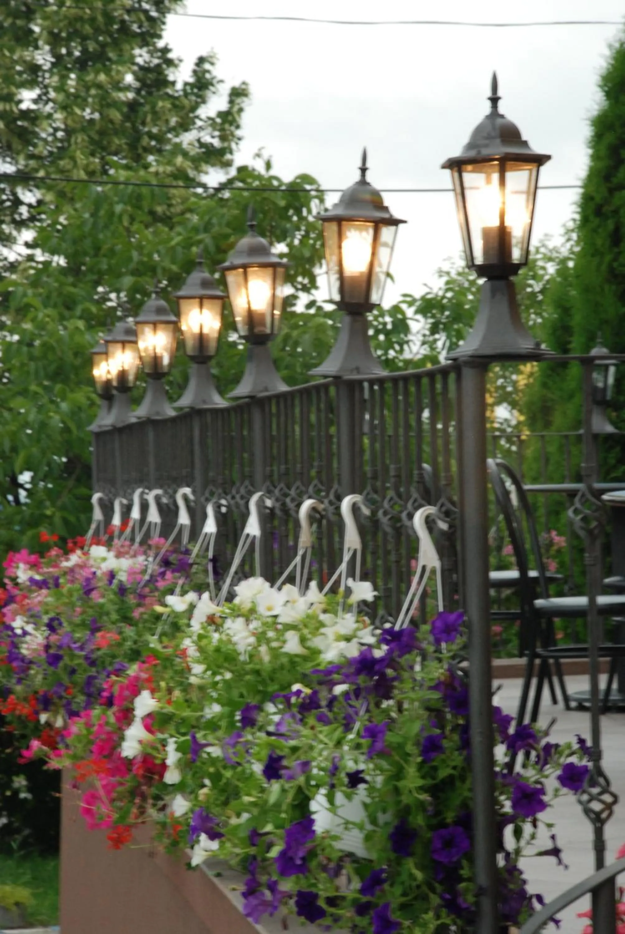 Balcony/Terrace in Hotel Liliacul