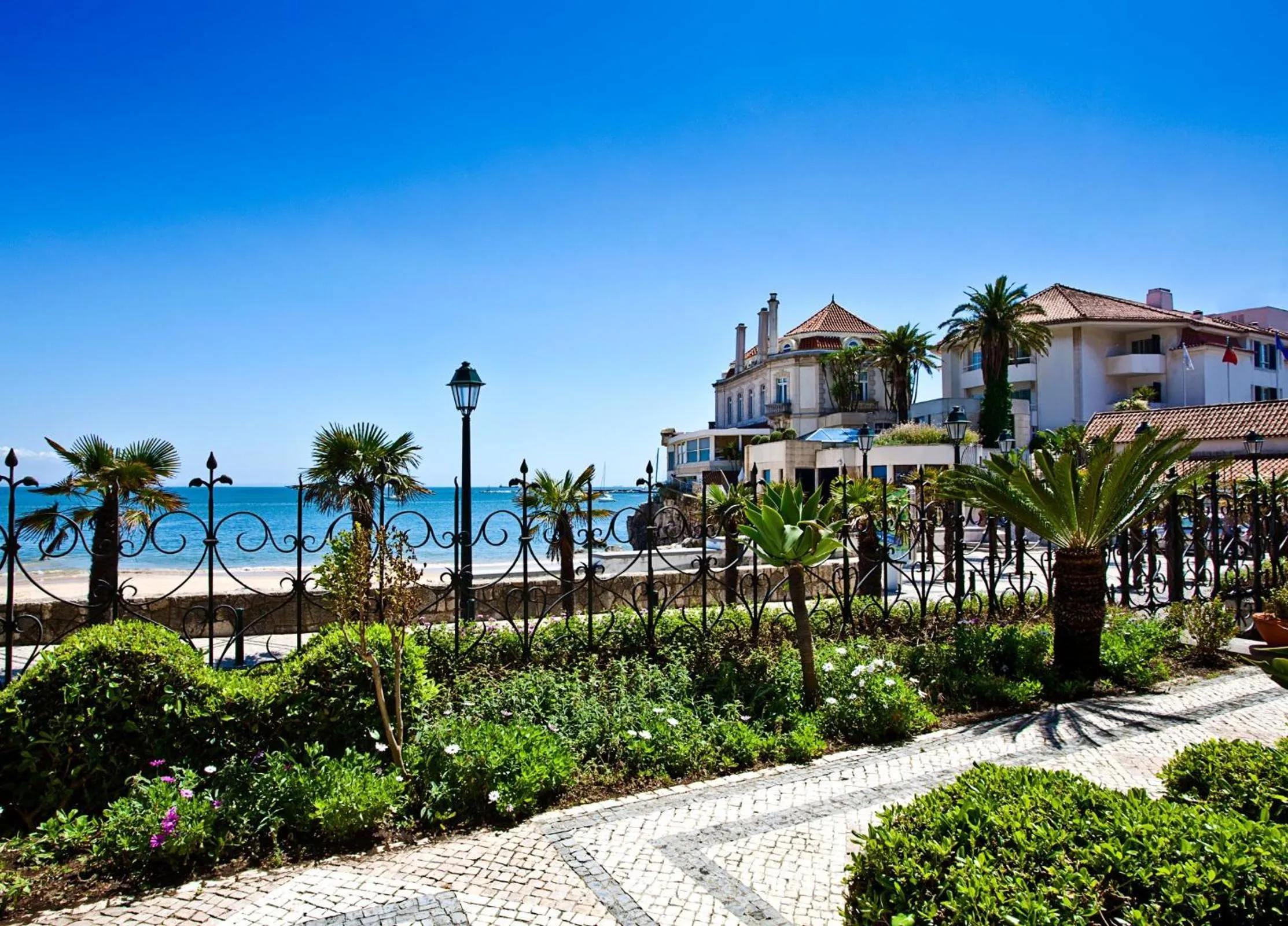 Neighbourhood in The Albatroz Hotel