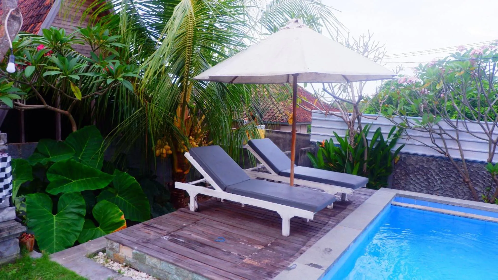 Pool view in Kuri Garden Cottage