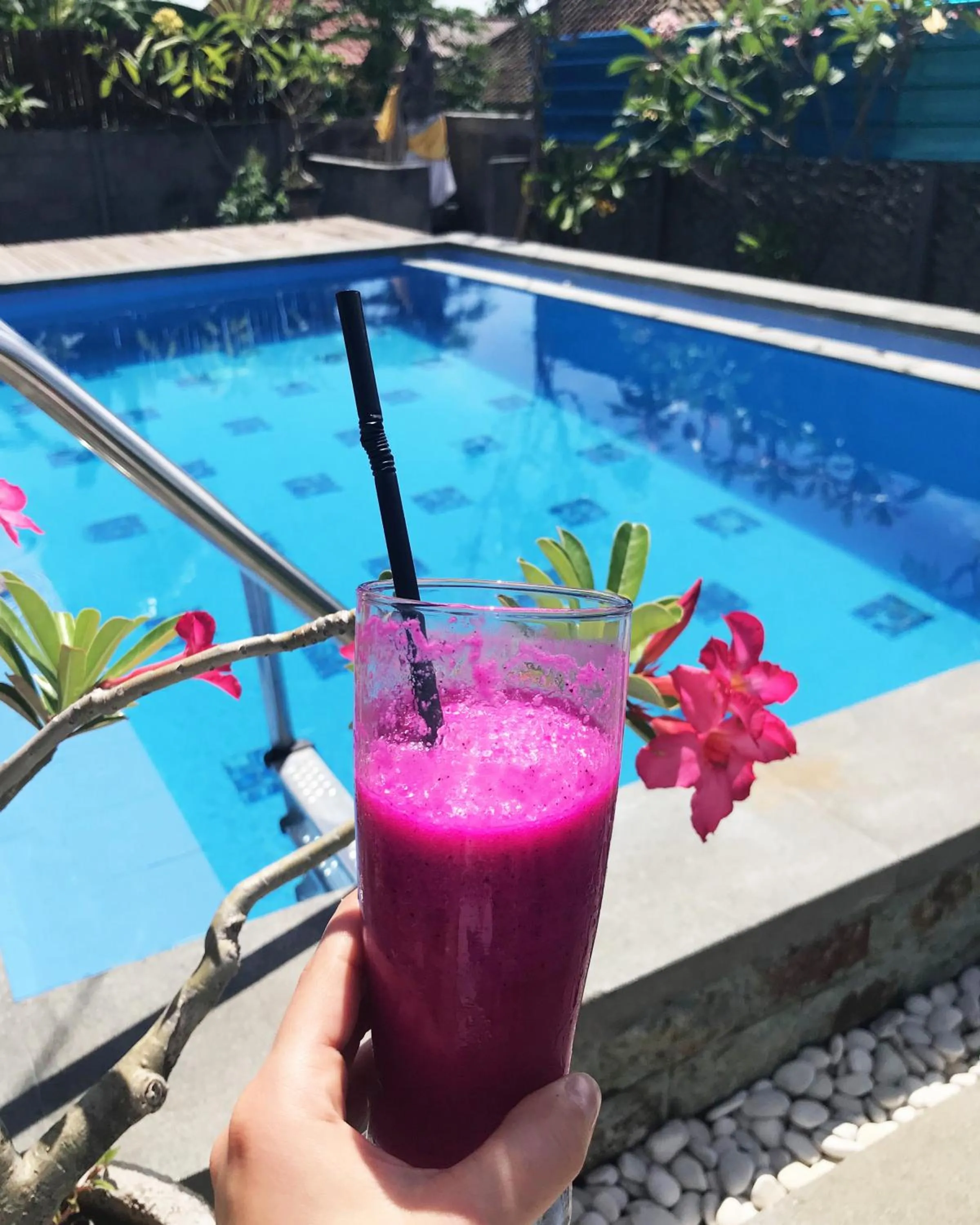 Swimming pool in Kuri Garden Cottage