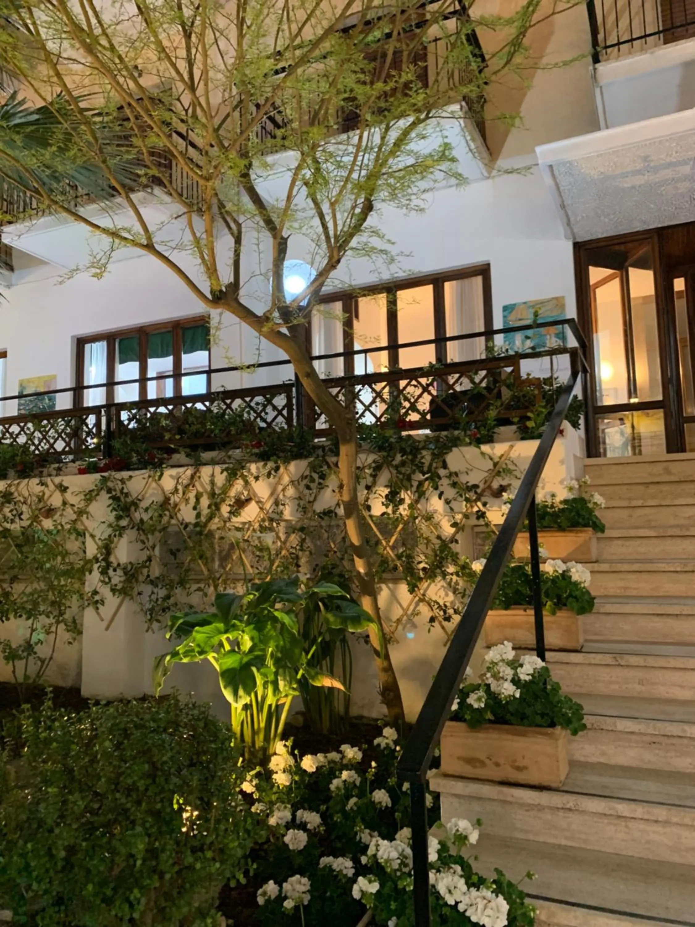 Garden in Hotel Conte