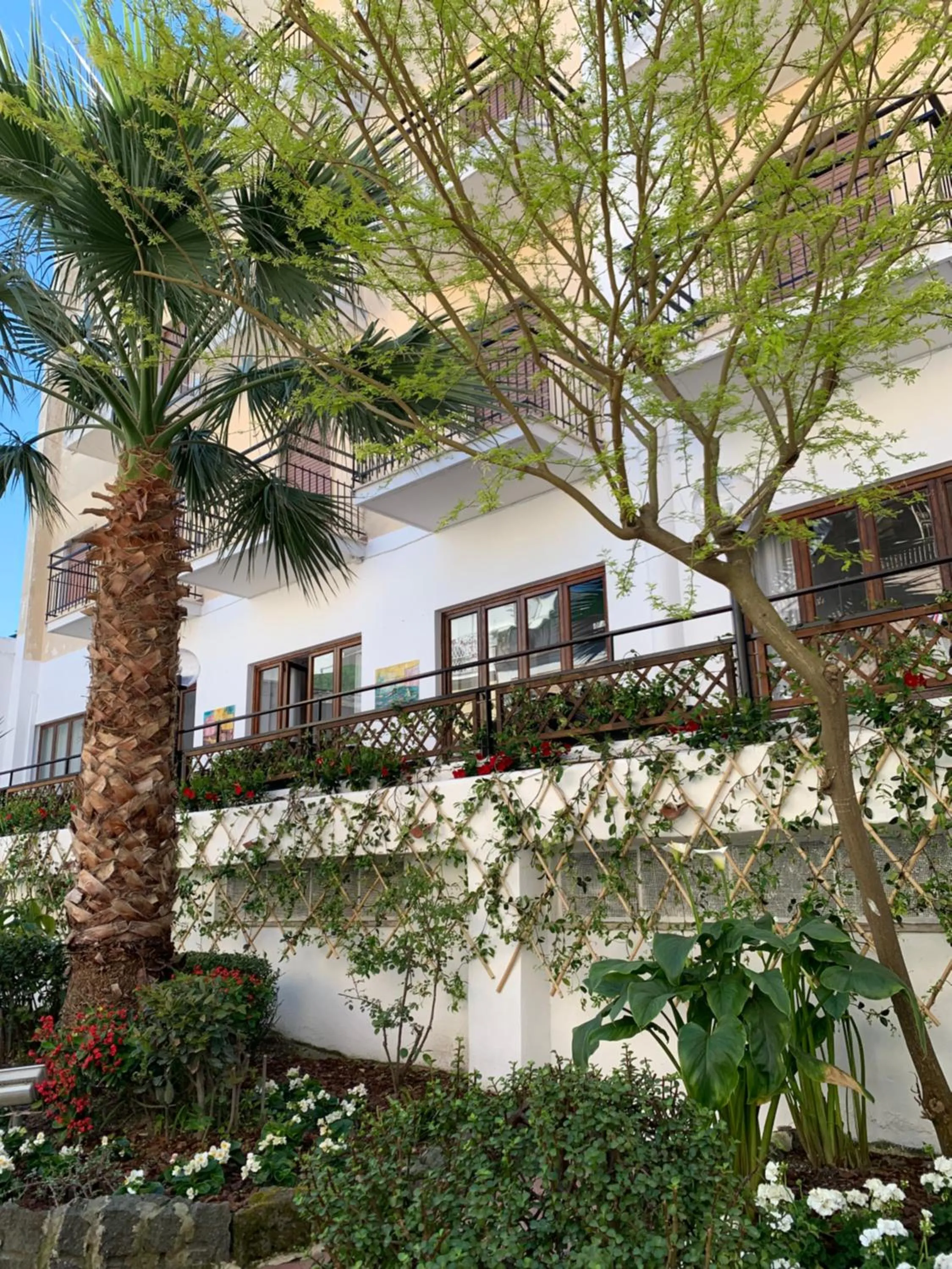 Garden in Hotel Conte