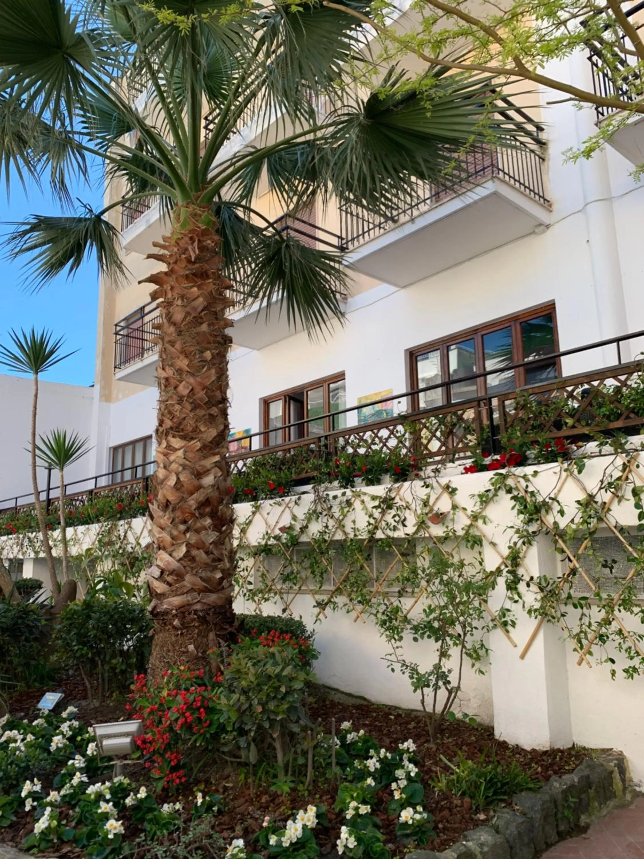 Garden in Hotel Conte