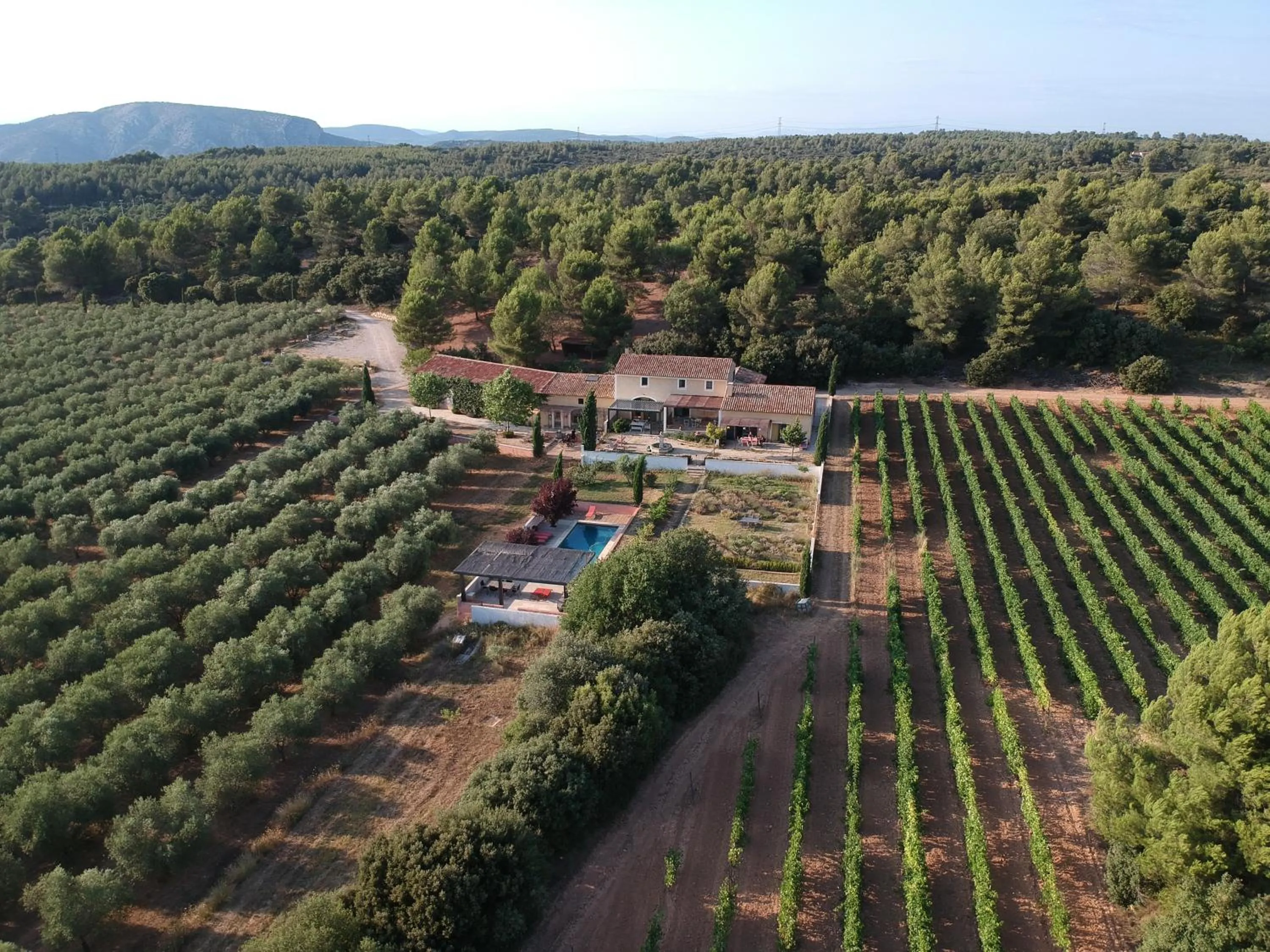 Bird's eye view in Domaine de Villemus