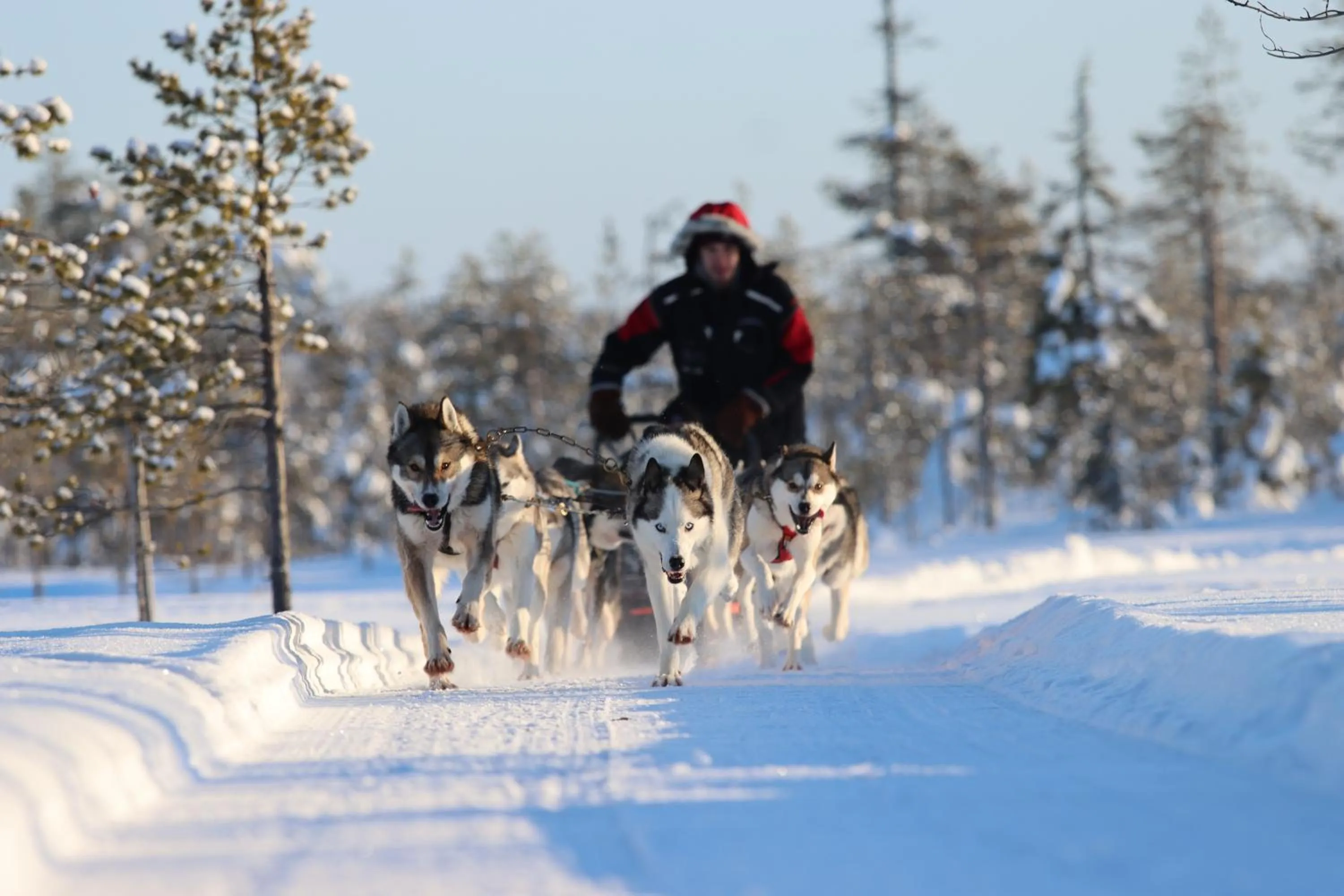 Activities in Hotel Metsähirvas