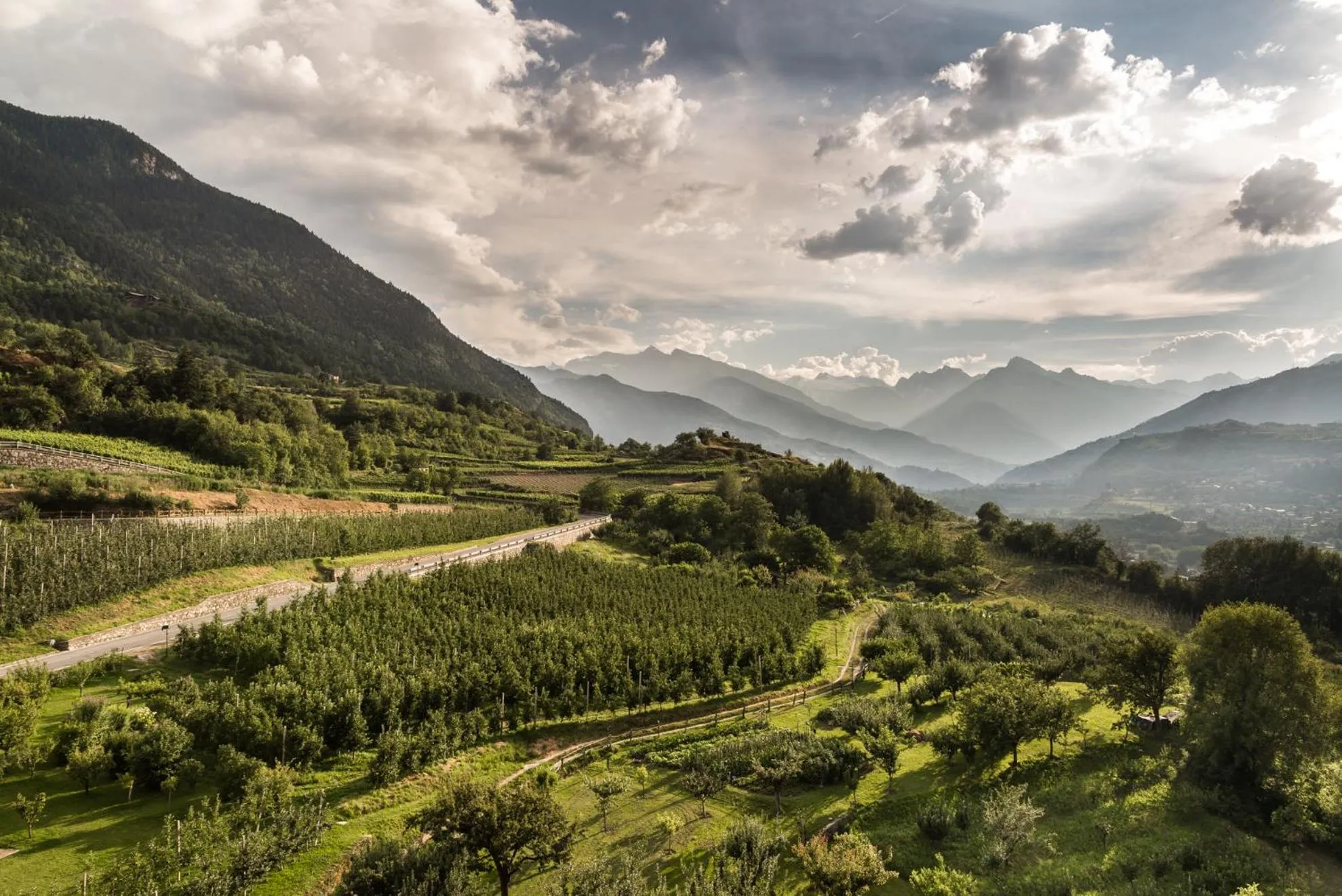 View (from property/room) in B&B La Tour de Villa