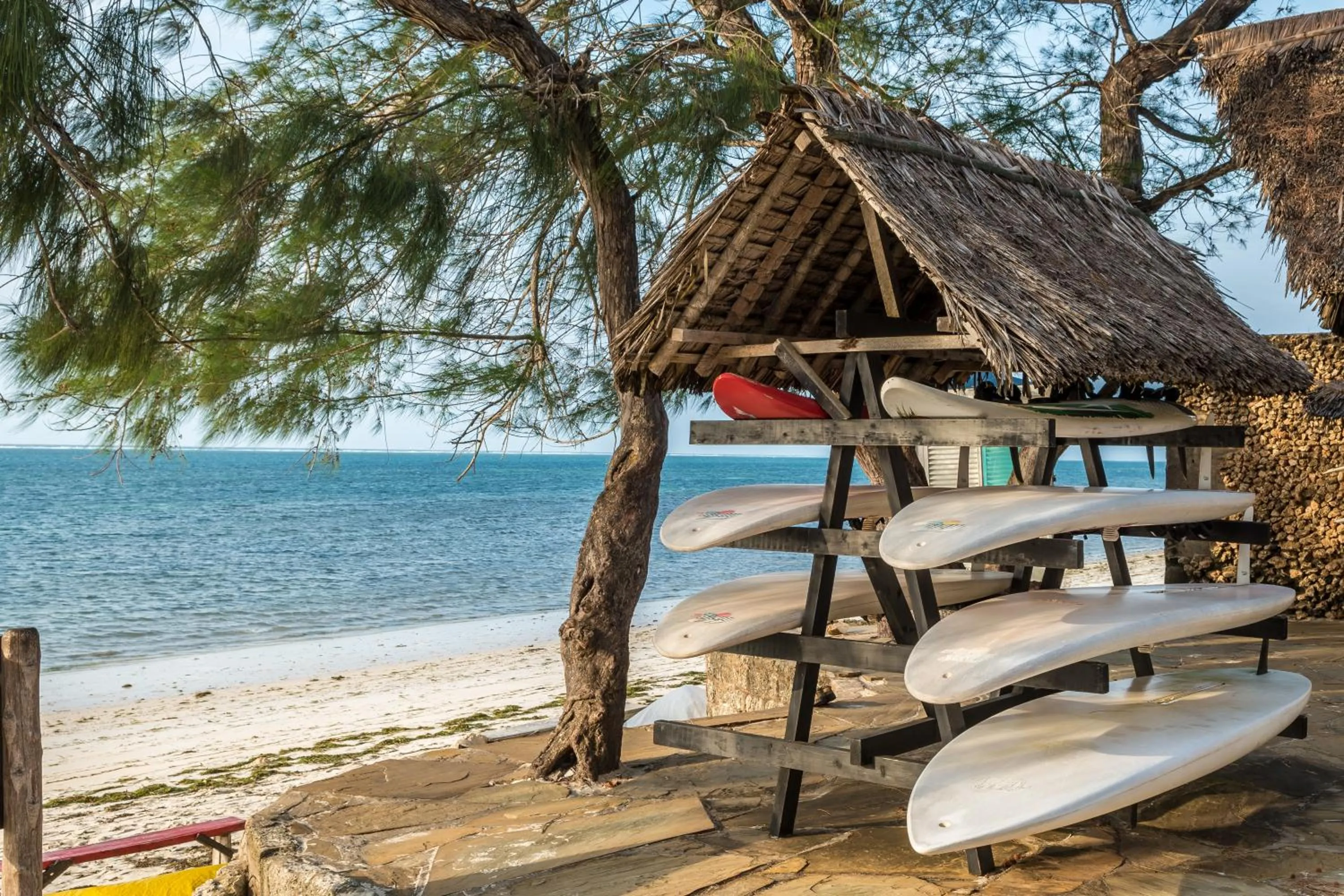 Natural landscape in Serena Beach Resort & Spa