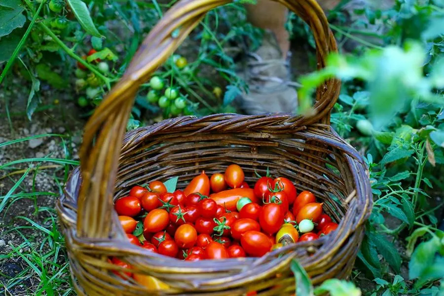 Activities in Colle dell'Ara