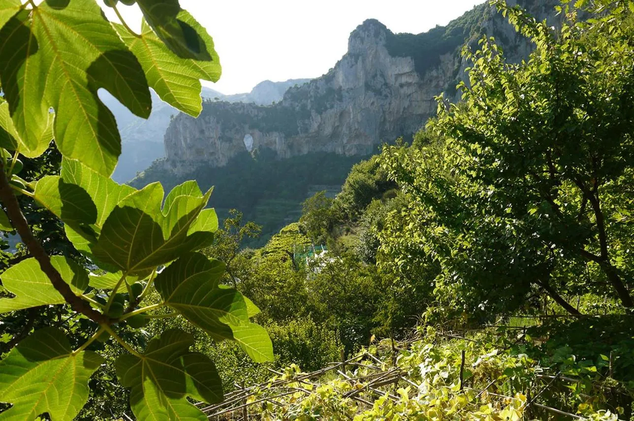 Natural landscape in Colle dell'Ara