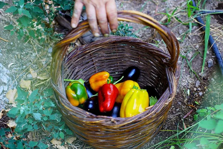 Activities in Colle dell'Ara