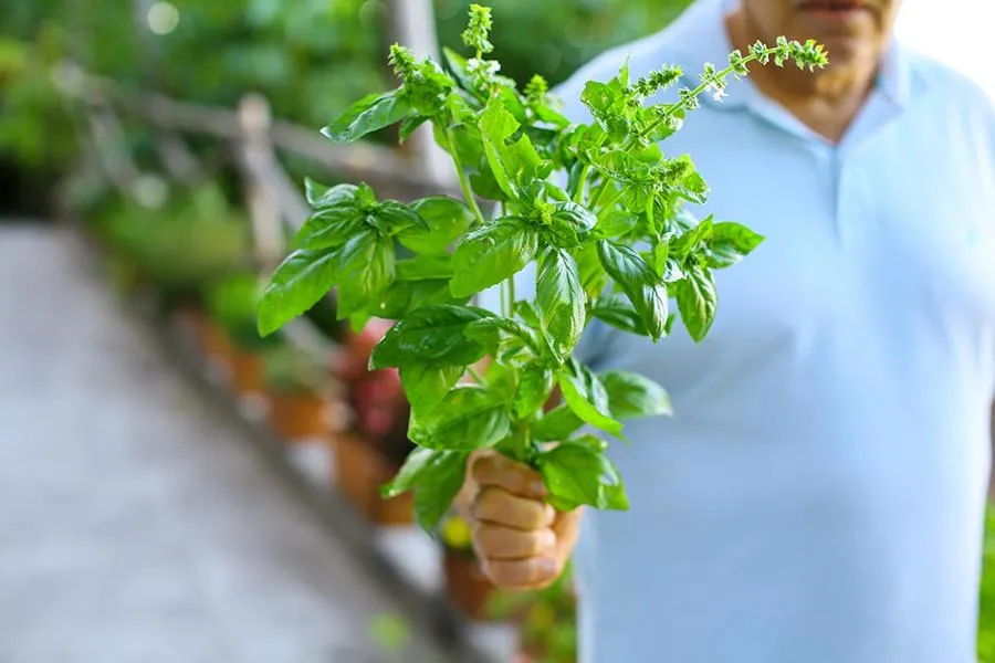 Activities in Colle dell'Ara