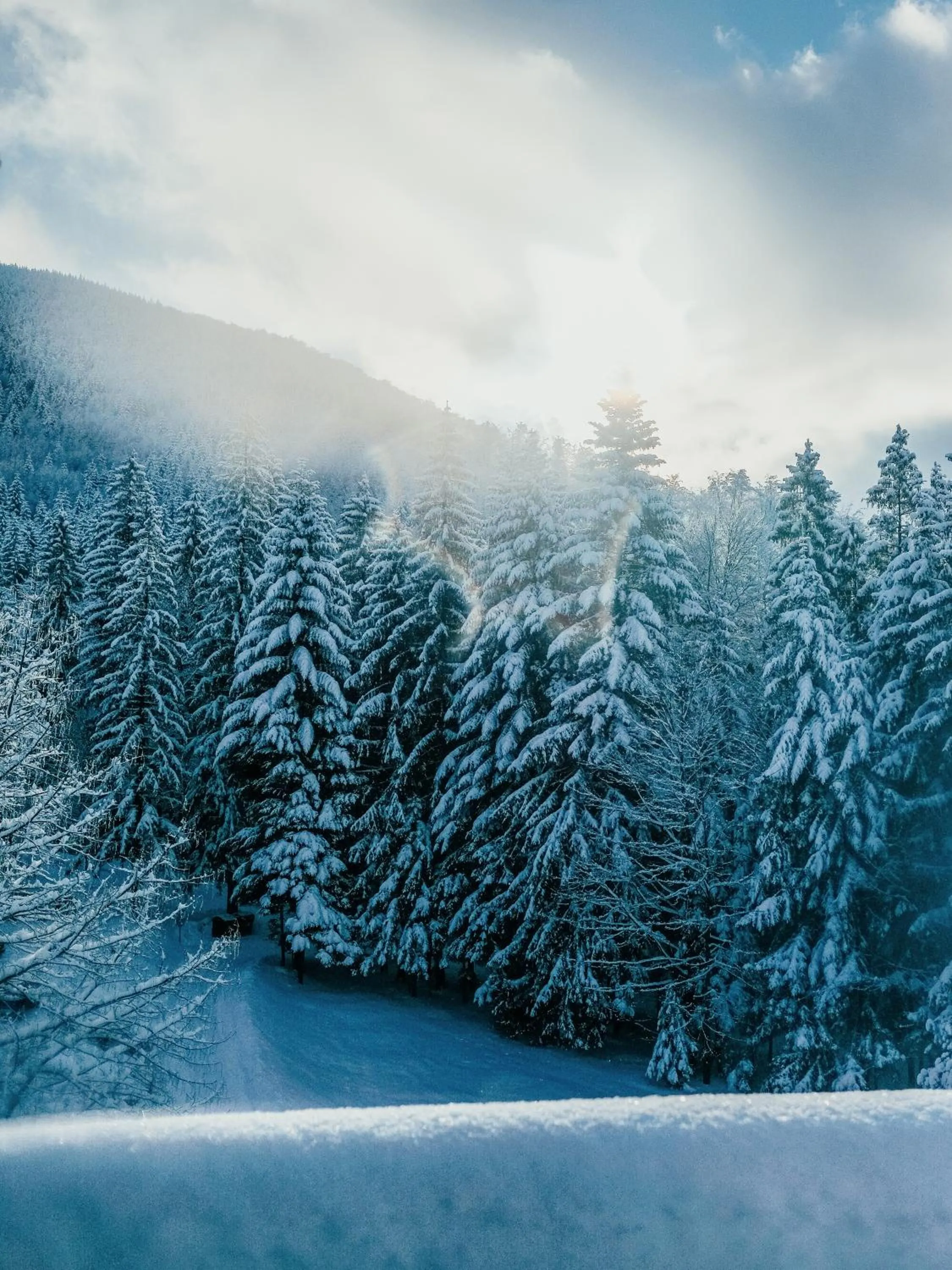 Winter in Hotel Troyer