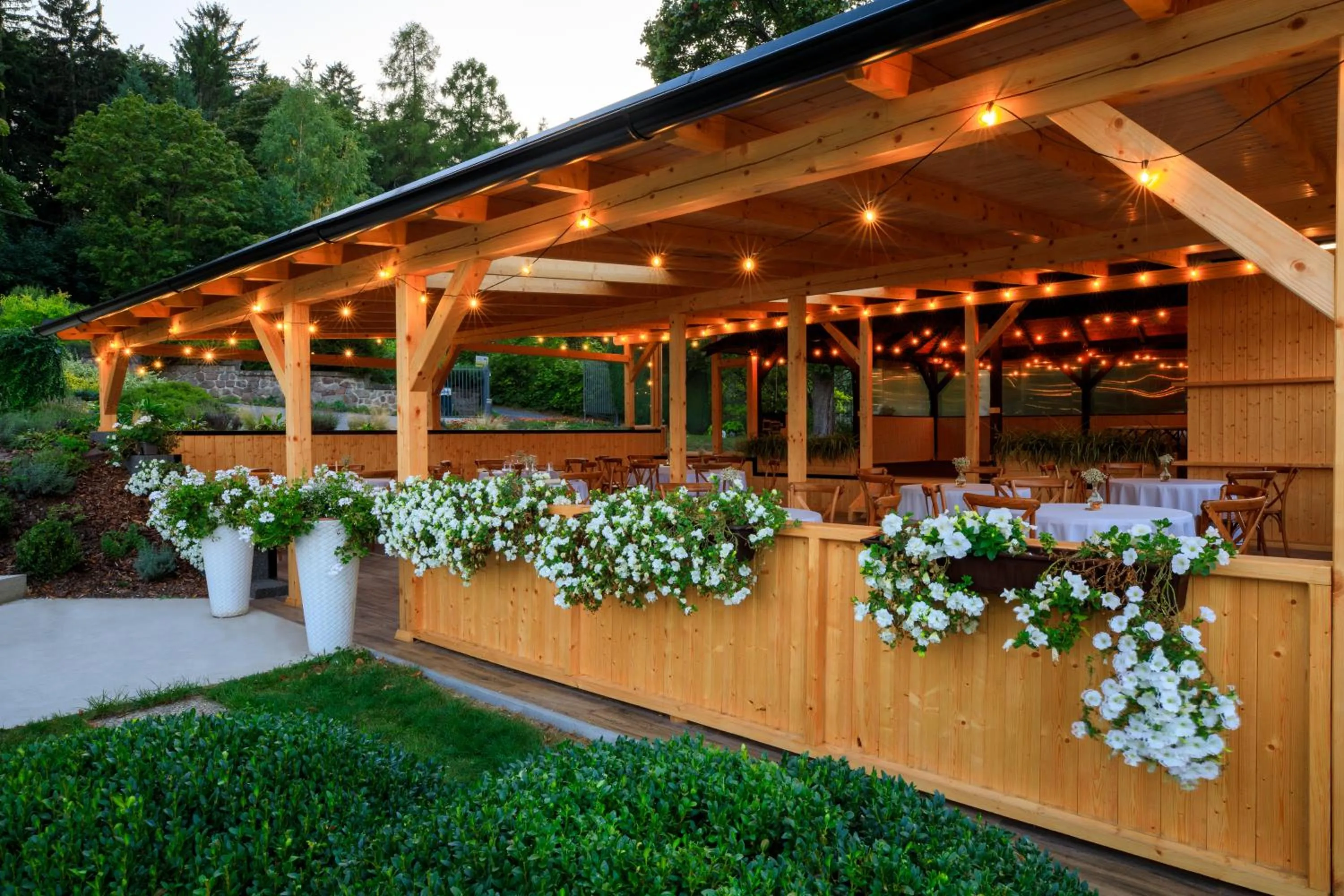 Garden in Hotel Ermi