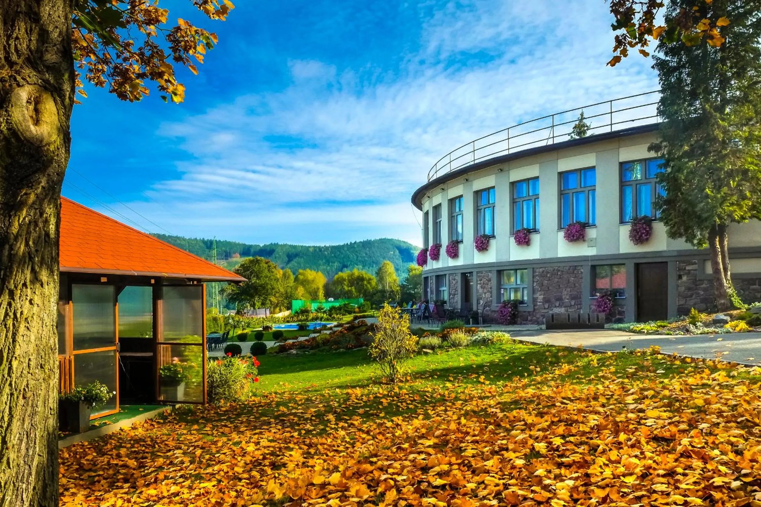 Garden in Hotel Ermi