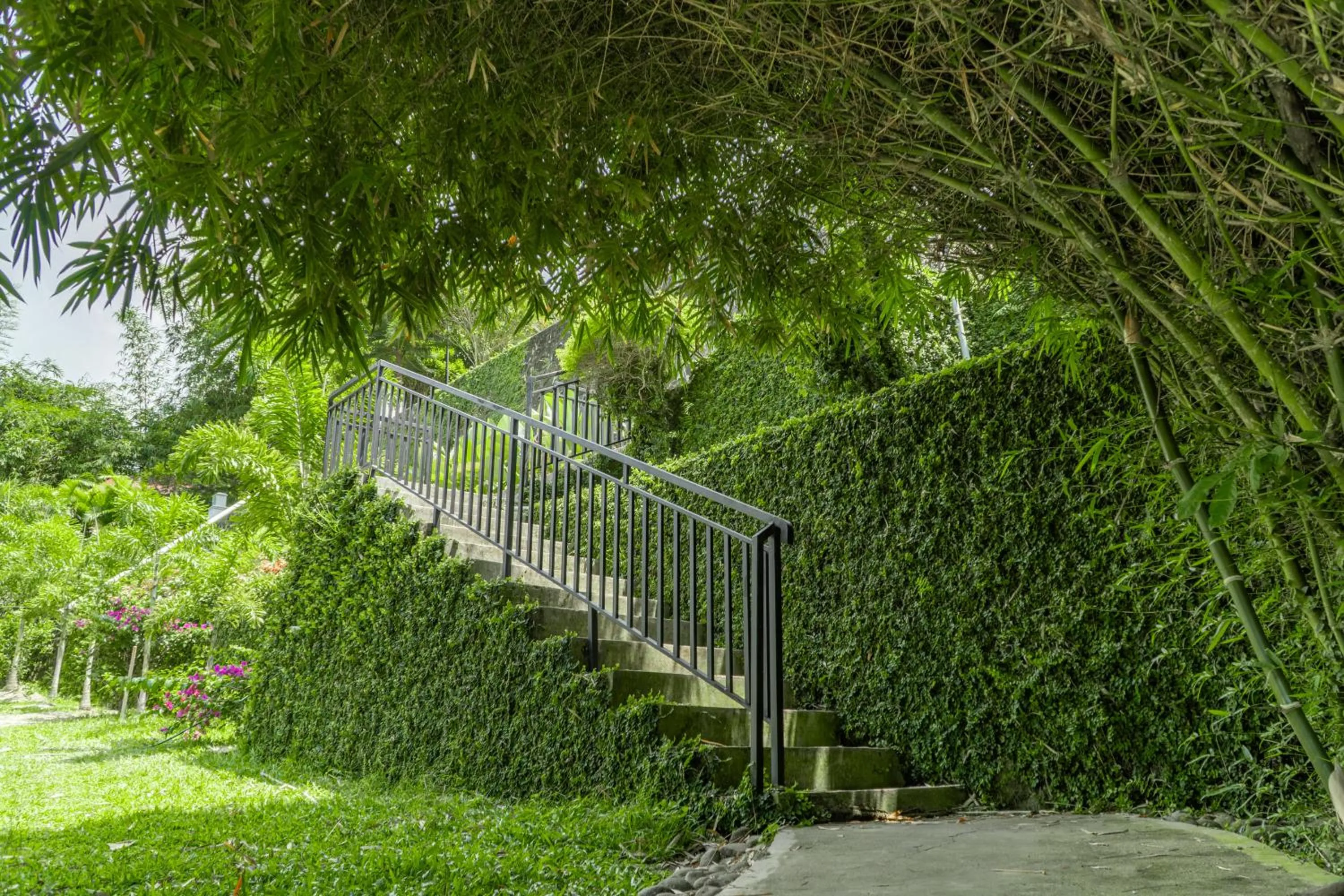 Day in The Hawk's Nest Resort