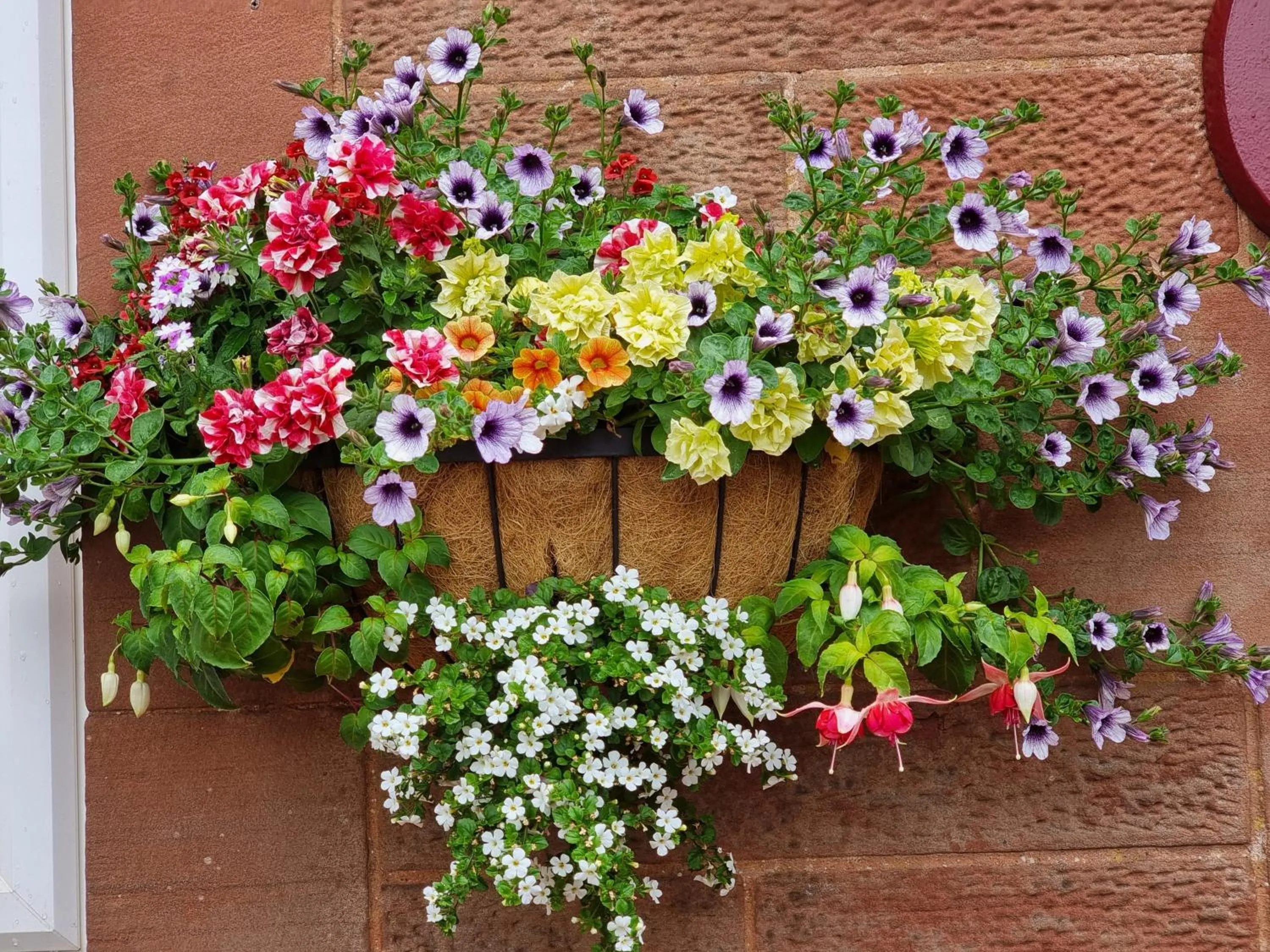 St Leonards Guest House