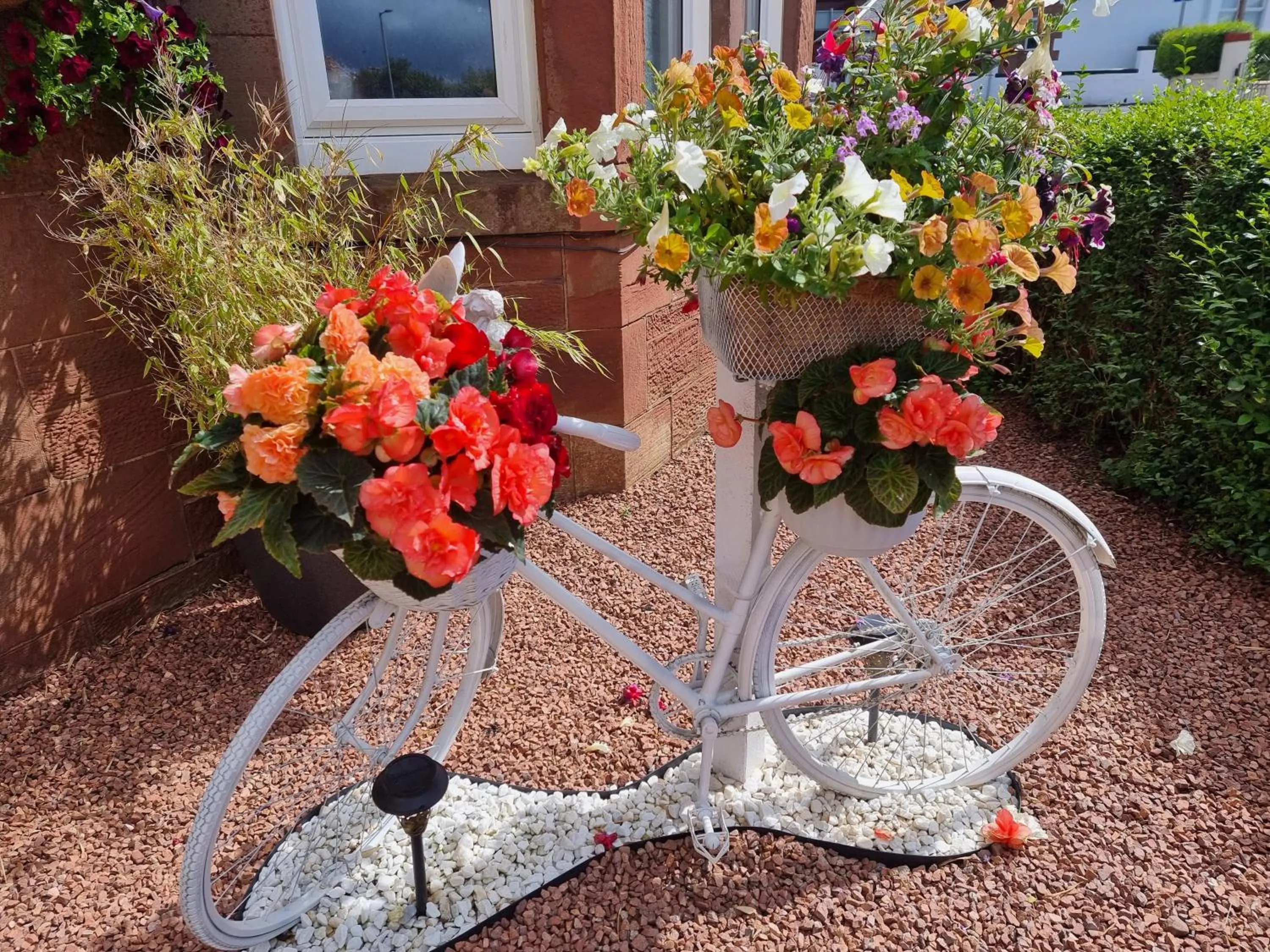 St Leonards Guest House