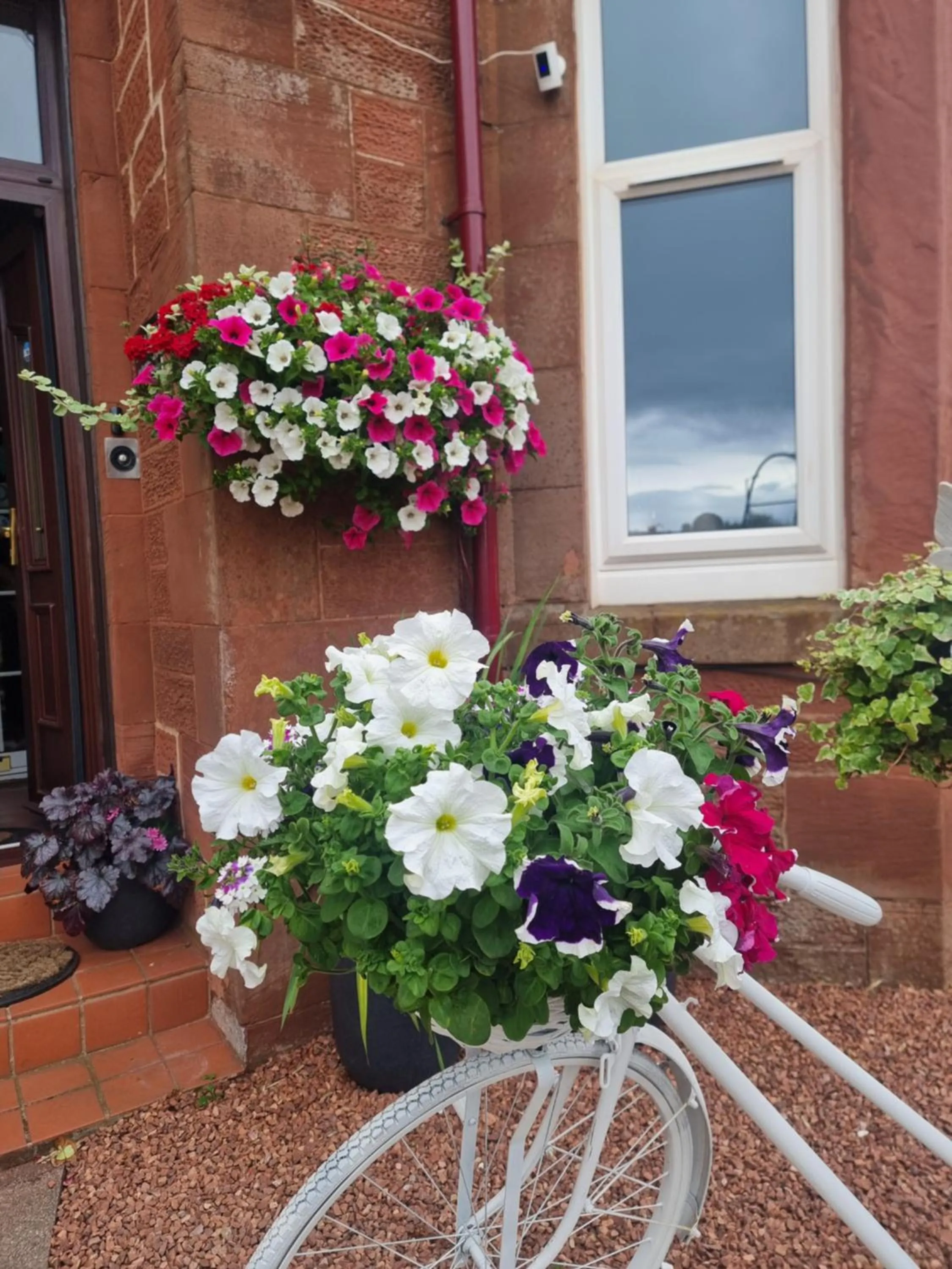 St Leonards Guest House