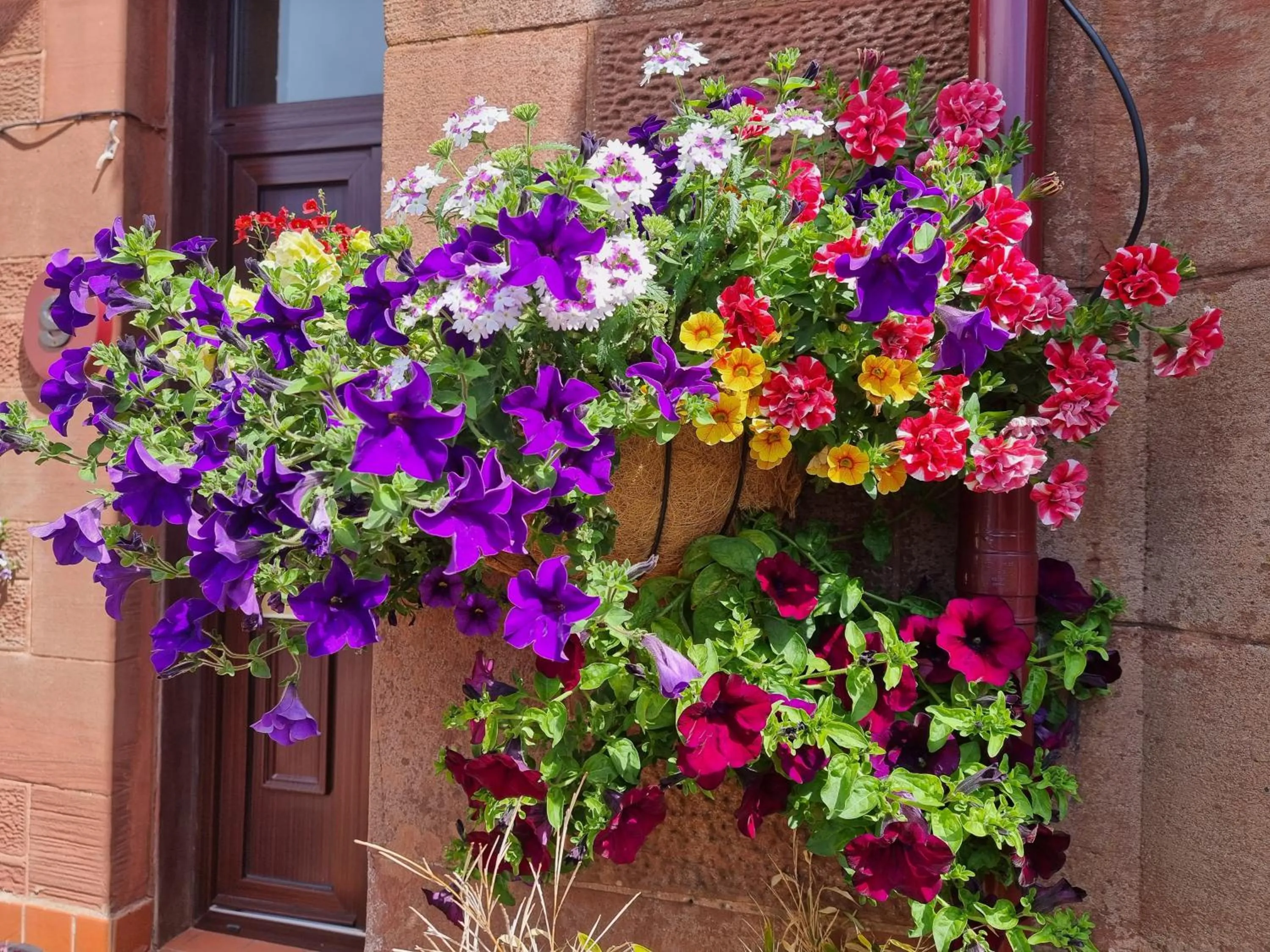 St Leonards Guest House