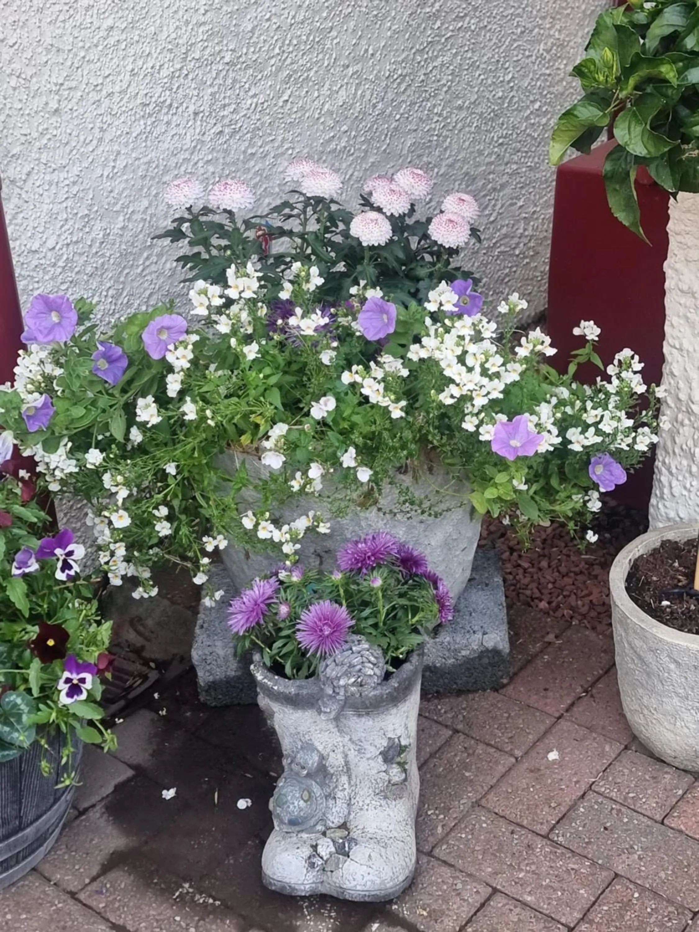 Garden in St Leonards Guest House