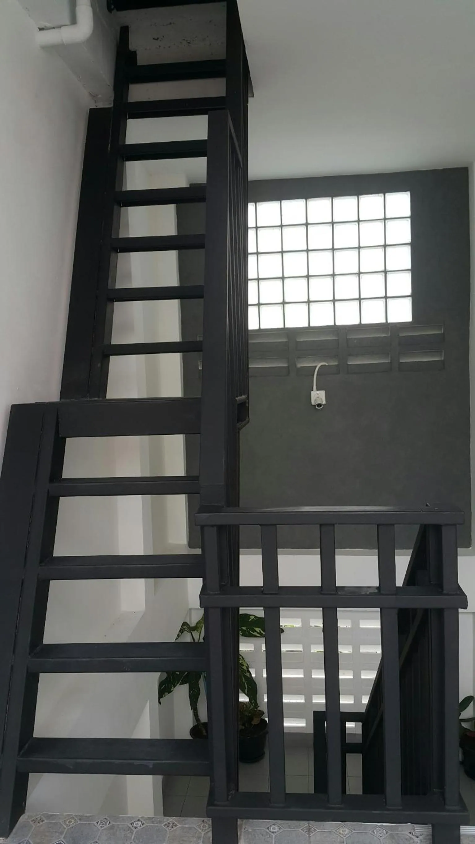 Patchy & PPraw Family