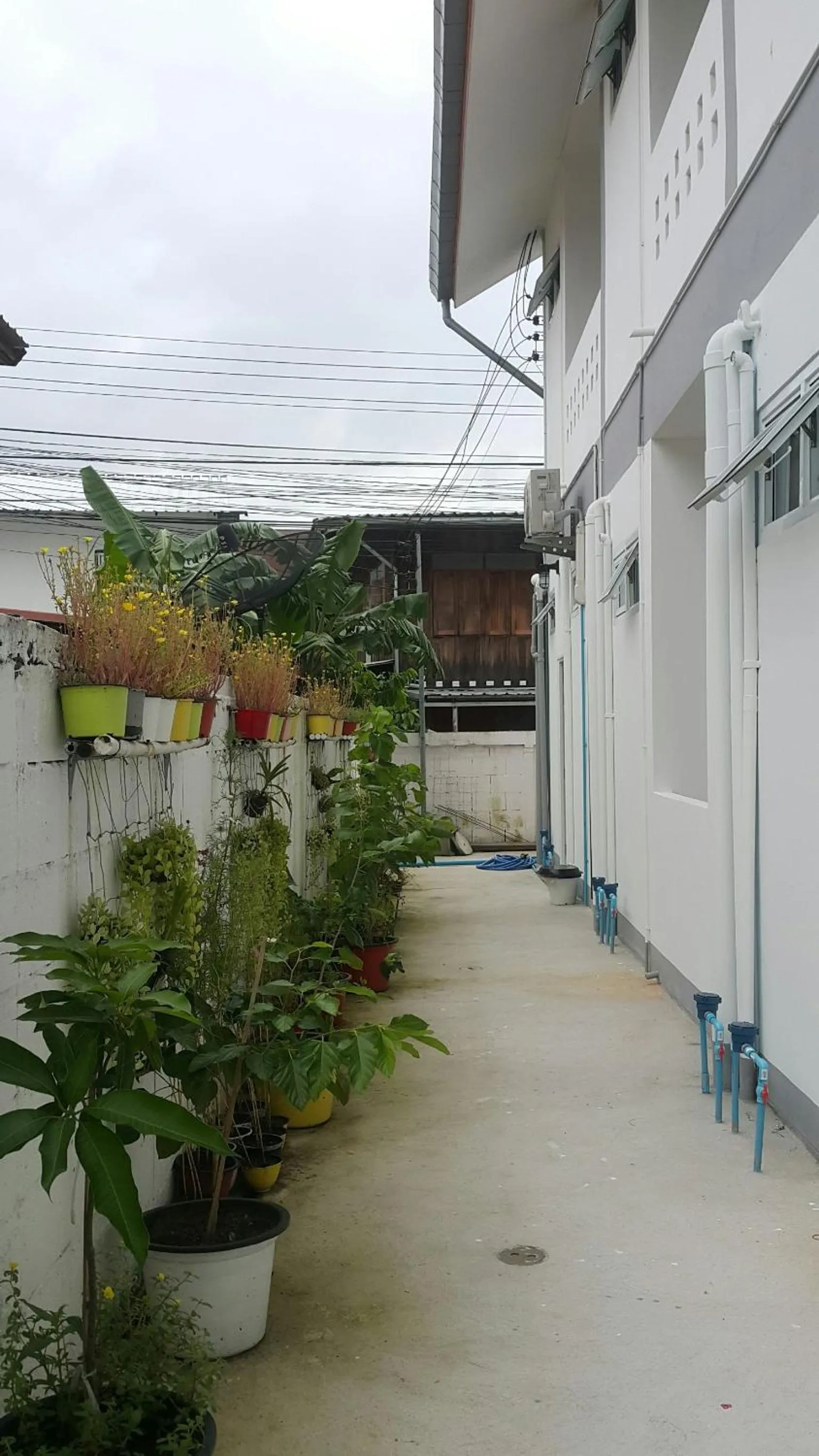 Property building in Patchy & PPraw Family